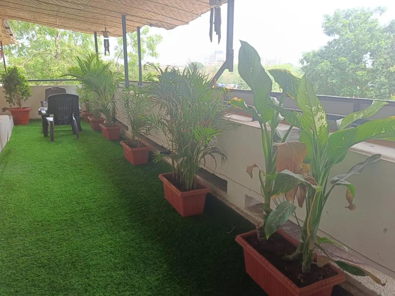 Garden in Hotel Green Park - Sector 11