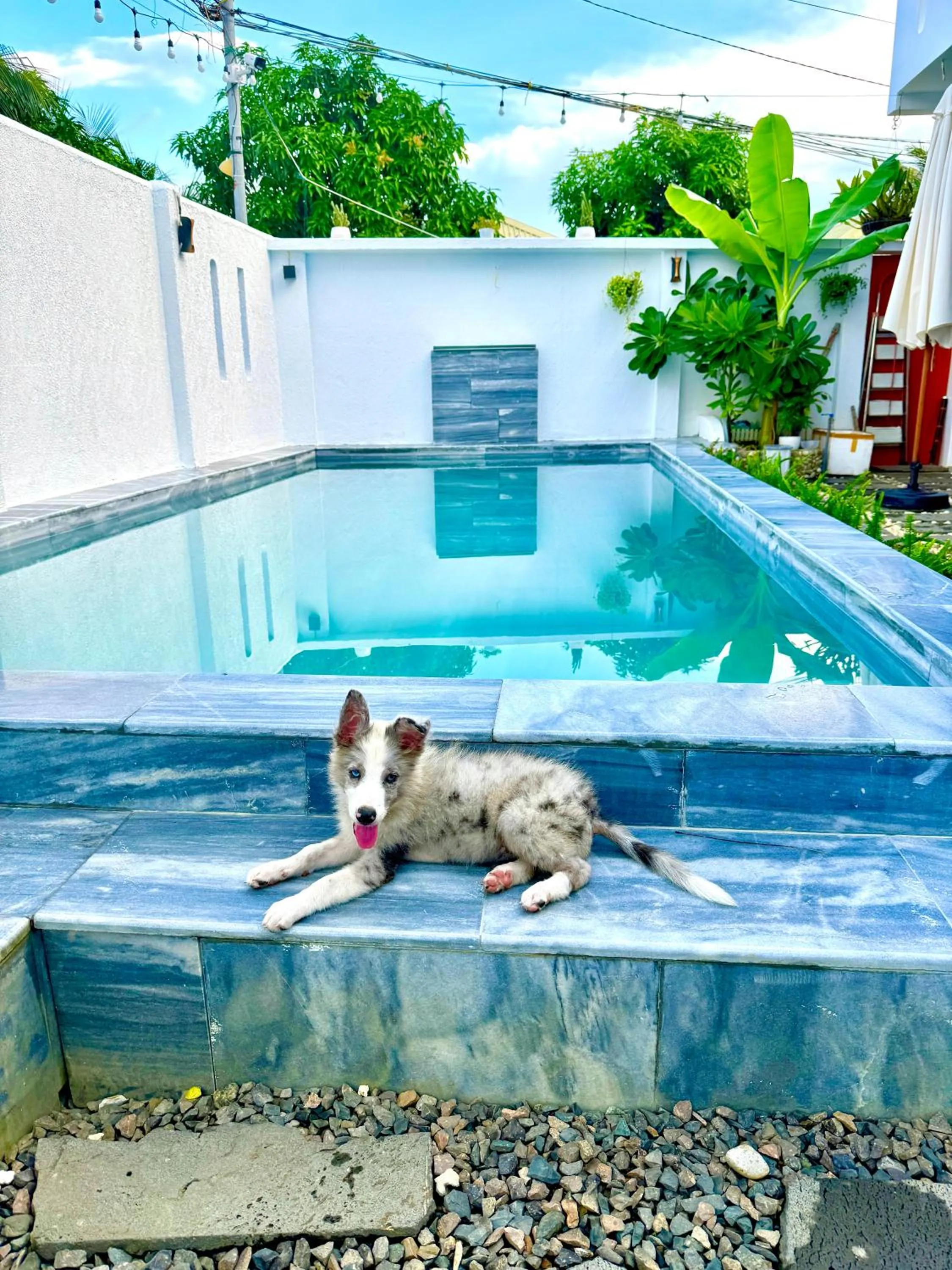 A House - homestay Mui Ne