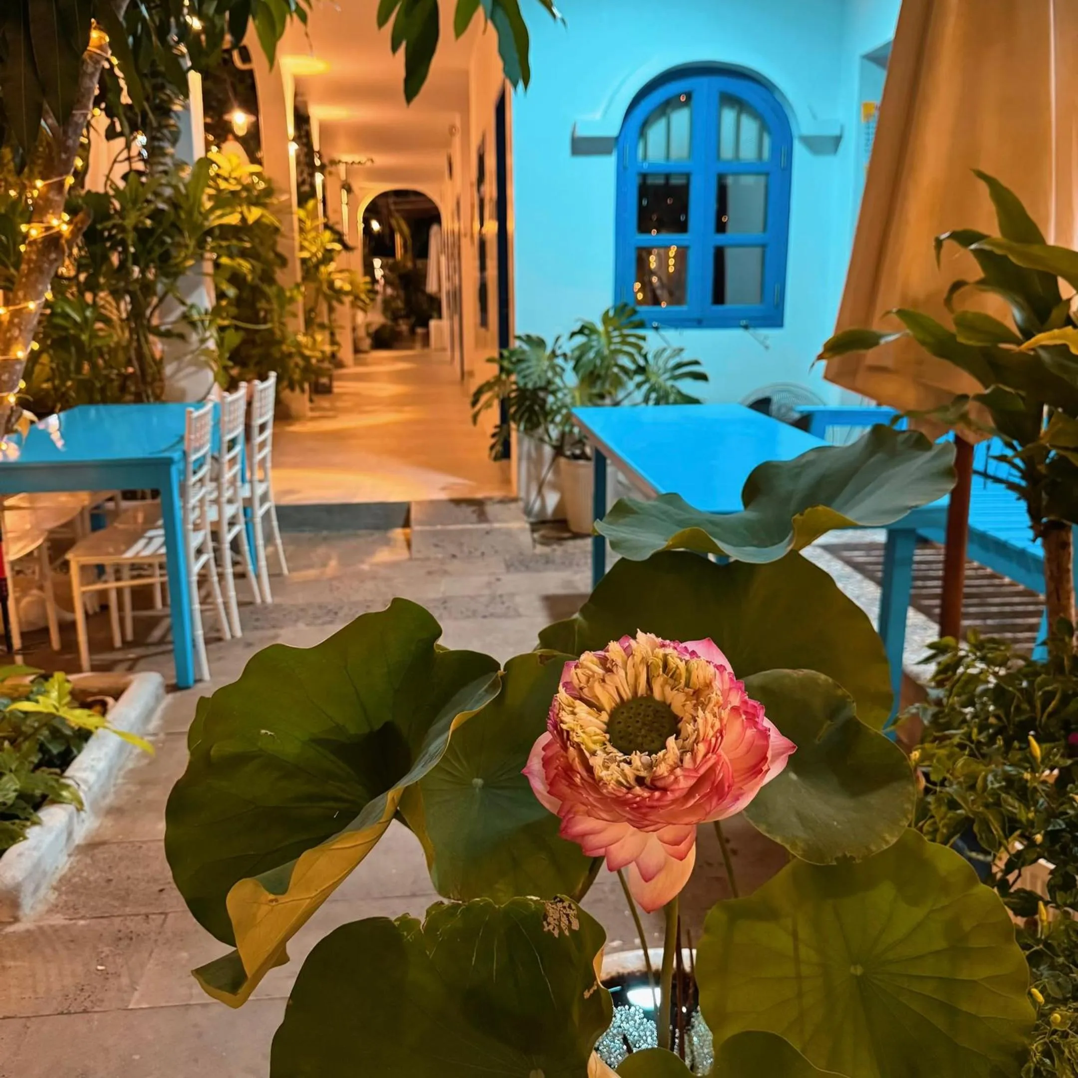 A House - homestay Mui Ne