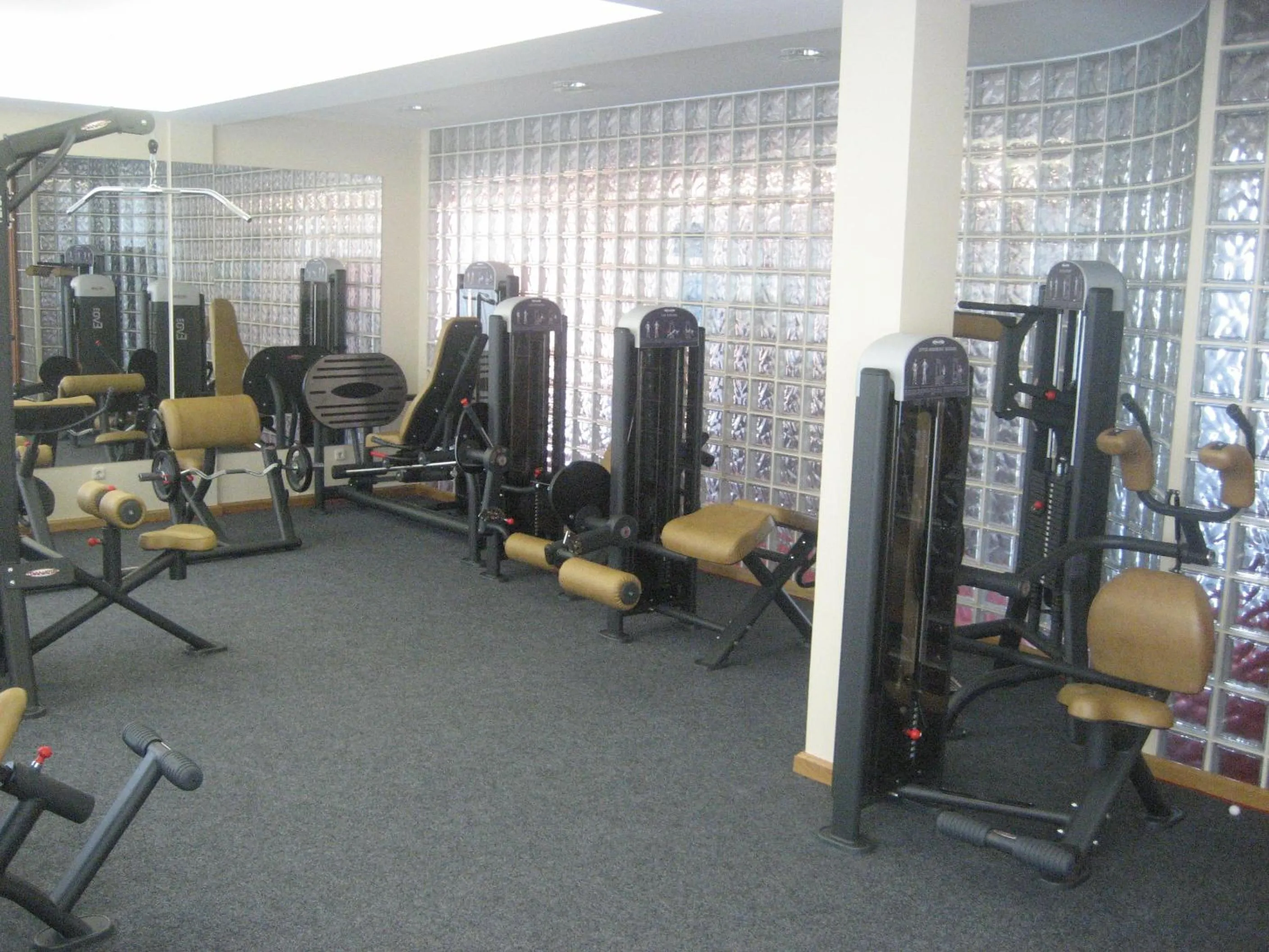 Fitness centre/facilities in Hotel Lav Vukovar