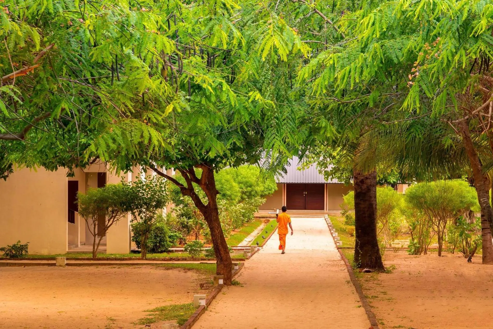 Natural landscape in Sunrise Pasikuda