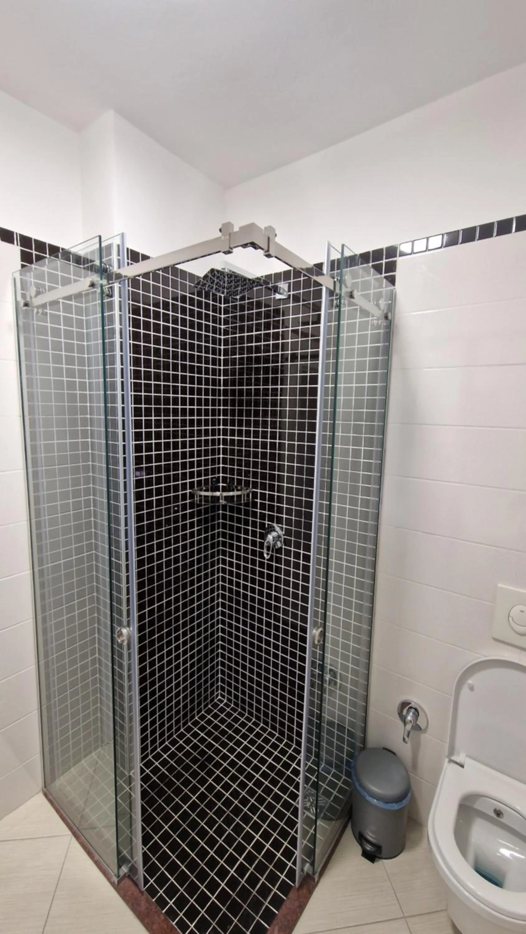 Shower in Frekel Hotel