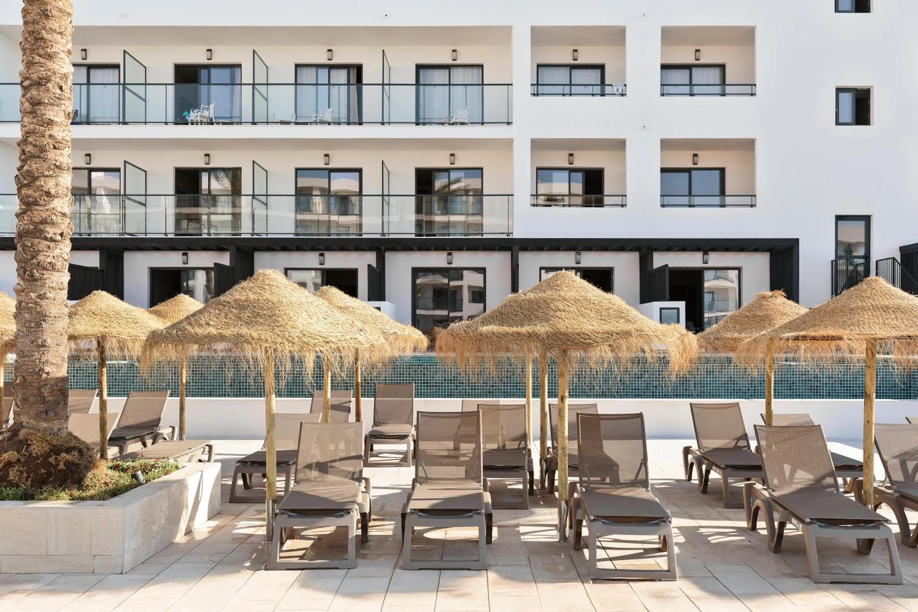 Balcony/Terrace in Hotel Best Oasis Tropical