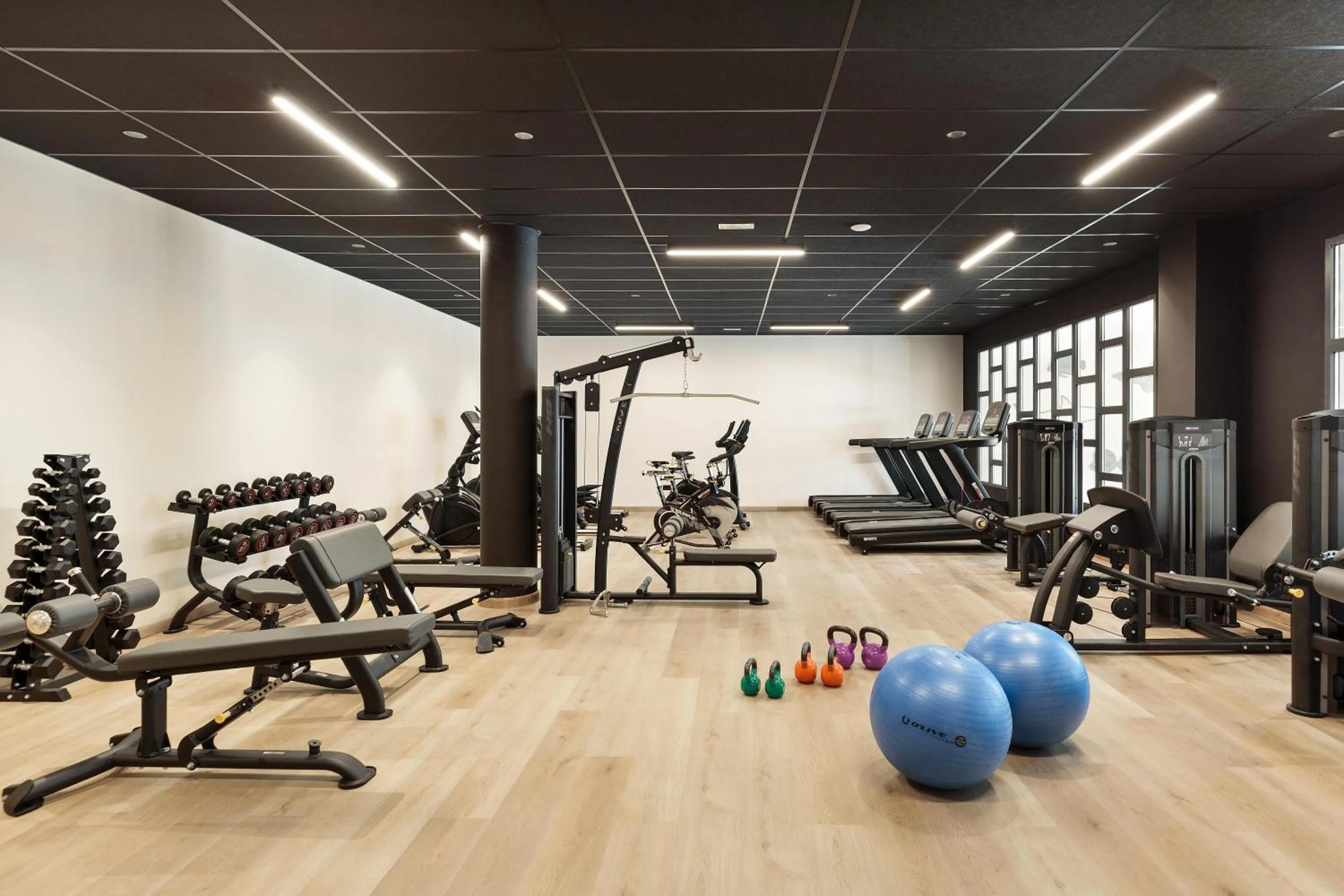 Activities in Hotel Best Oasis Tropical