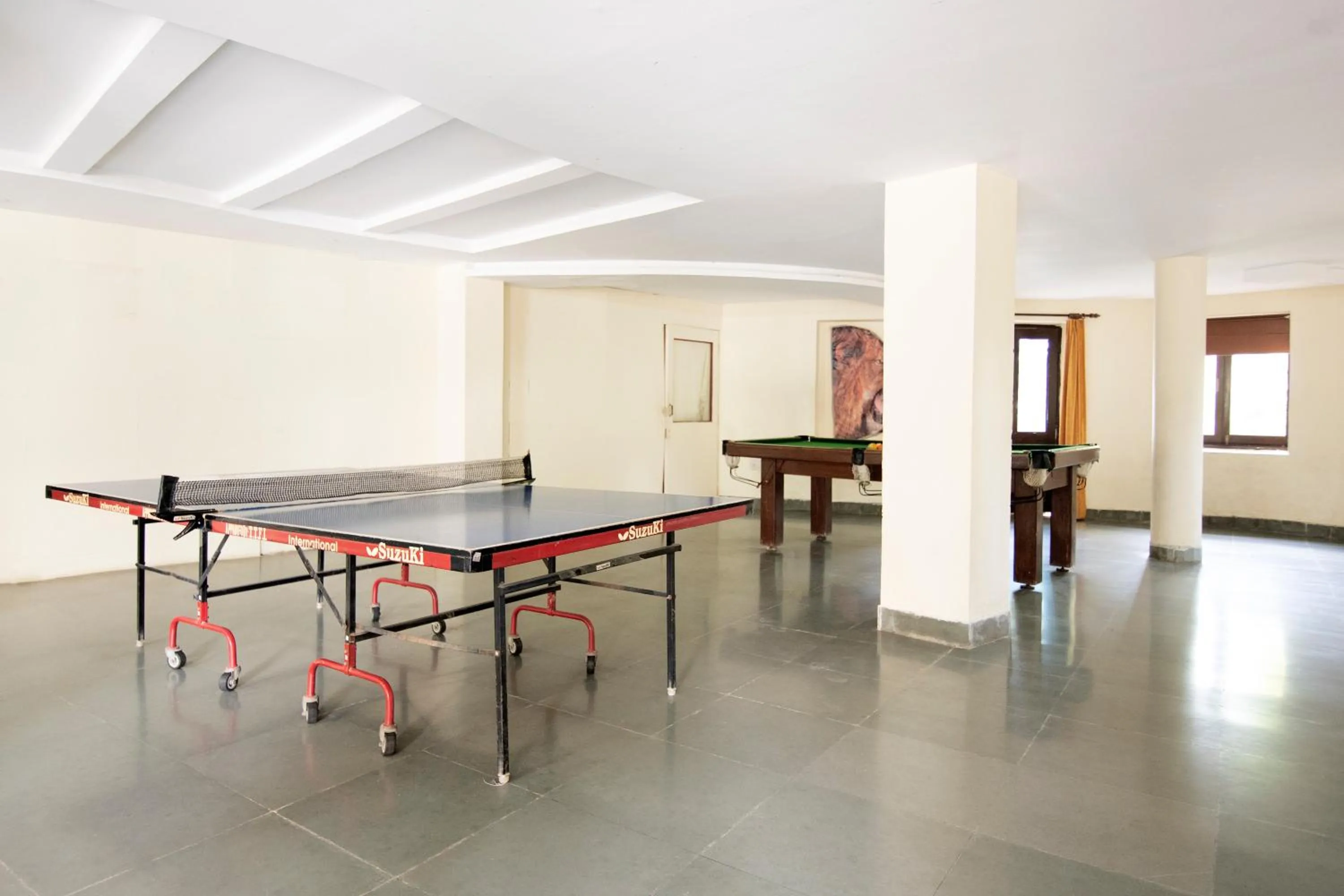 Table tennis in The Udaibagh