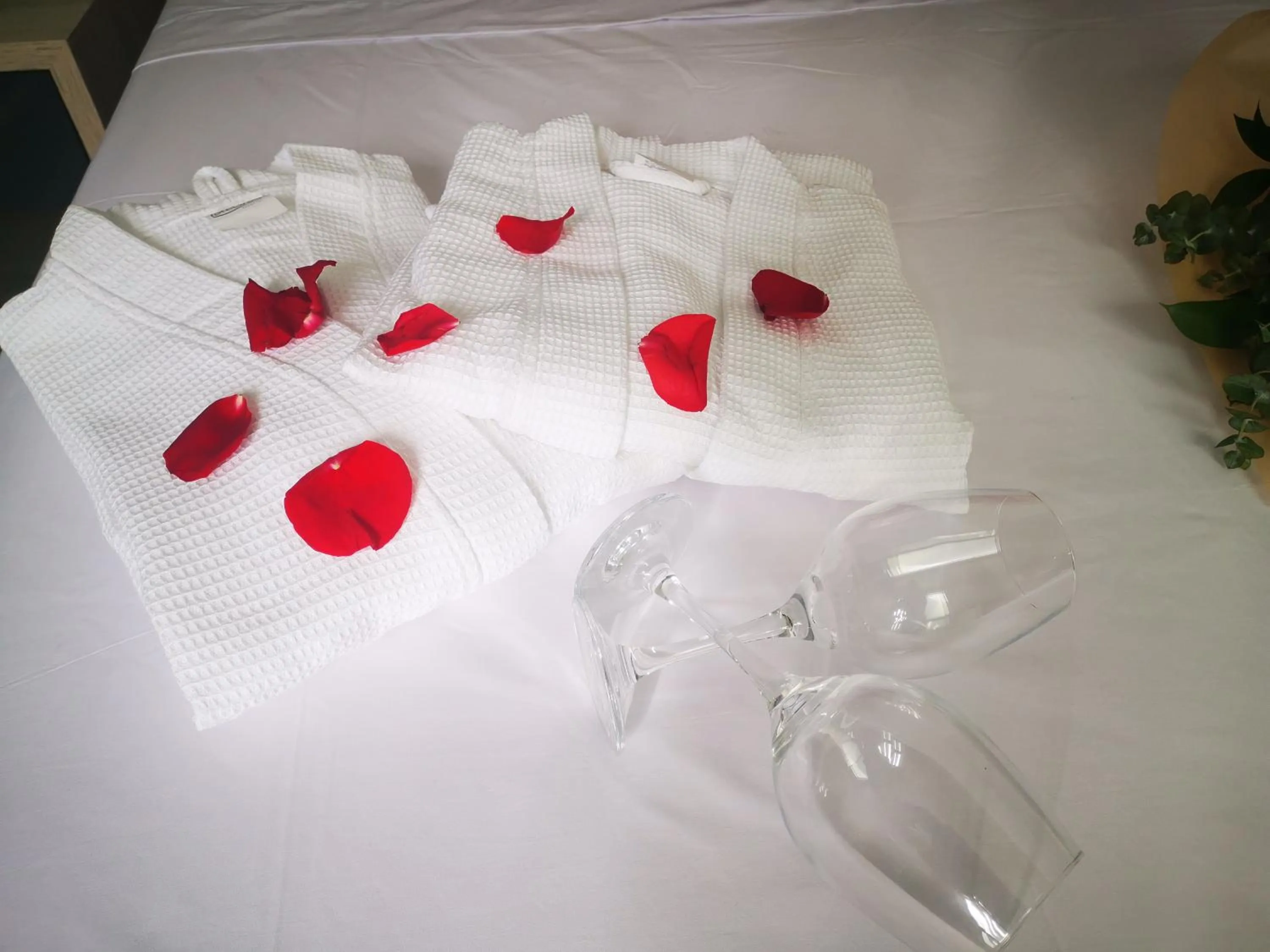 Photo of the whole room in Hotel Lleras Express