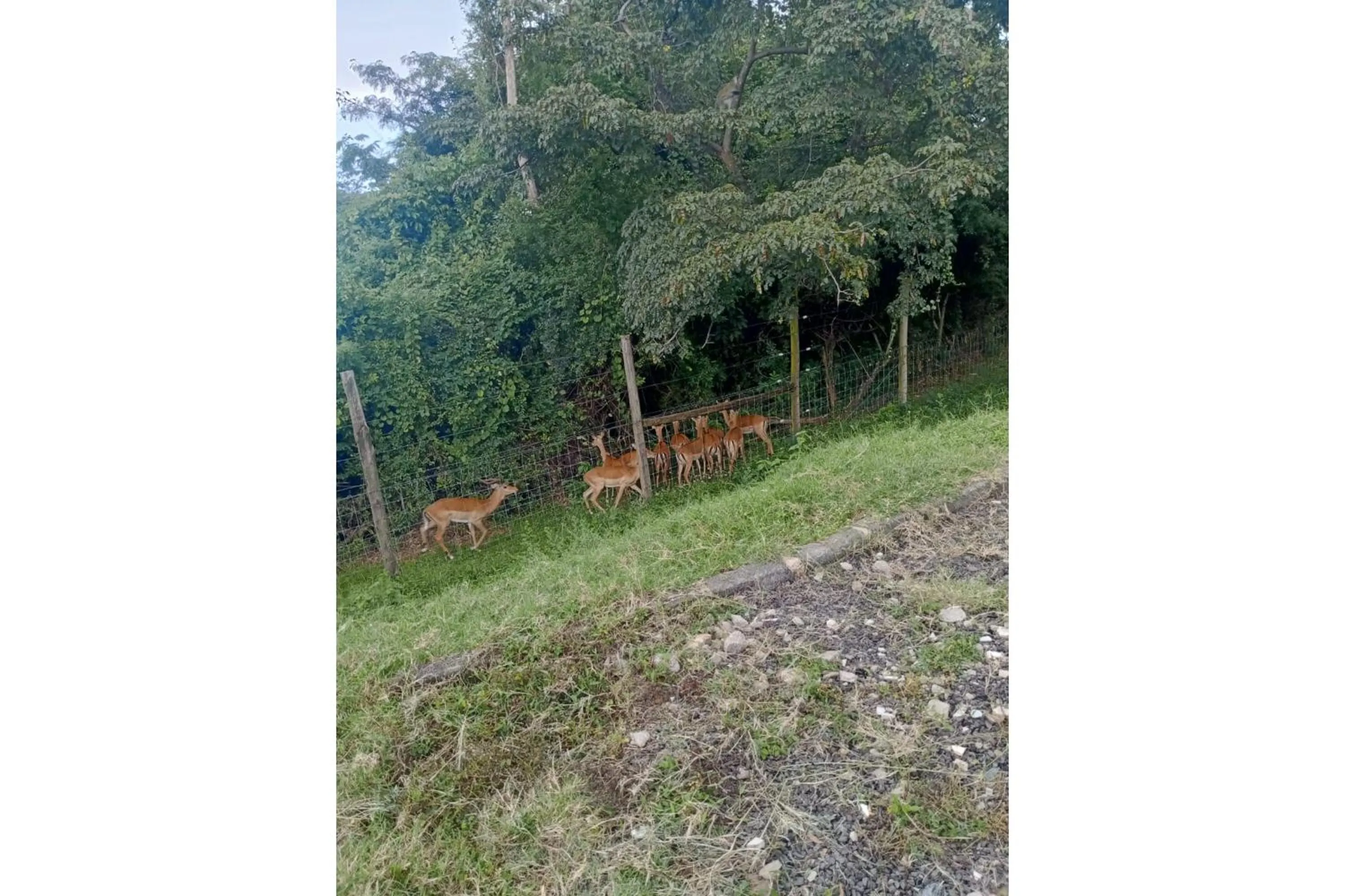 Day in Parkview Safari Hotel & Apartments