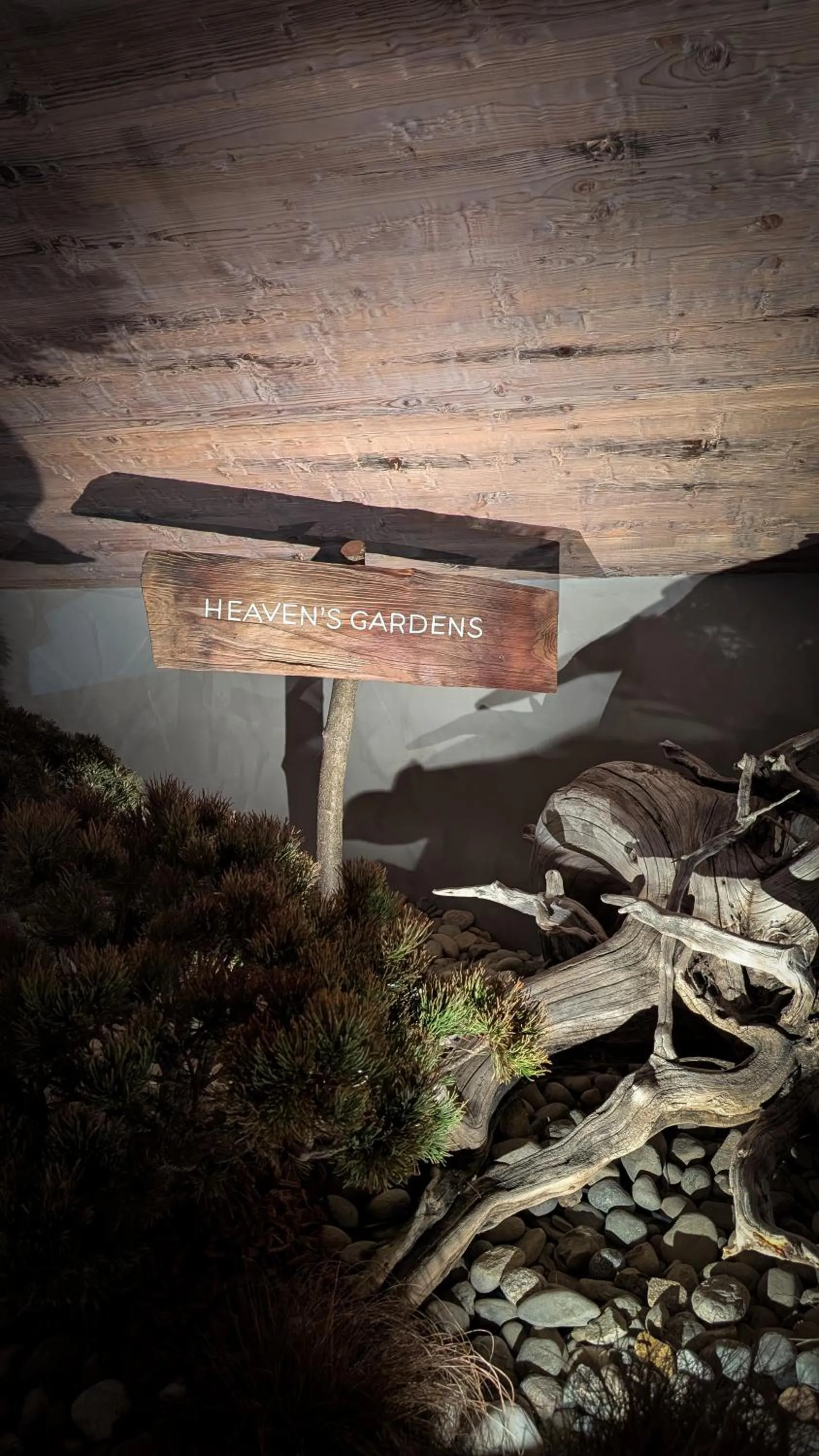 Natural landscape in Mohe Boutique Hotel