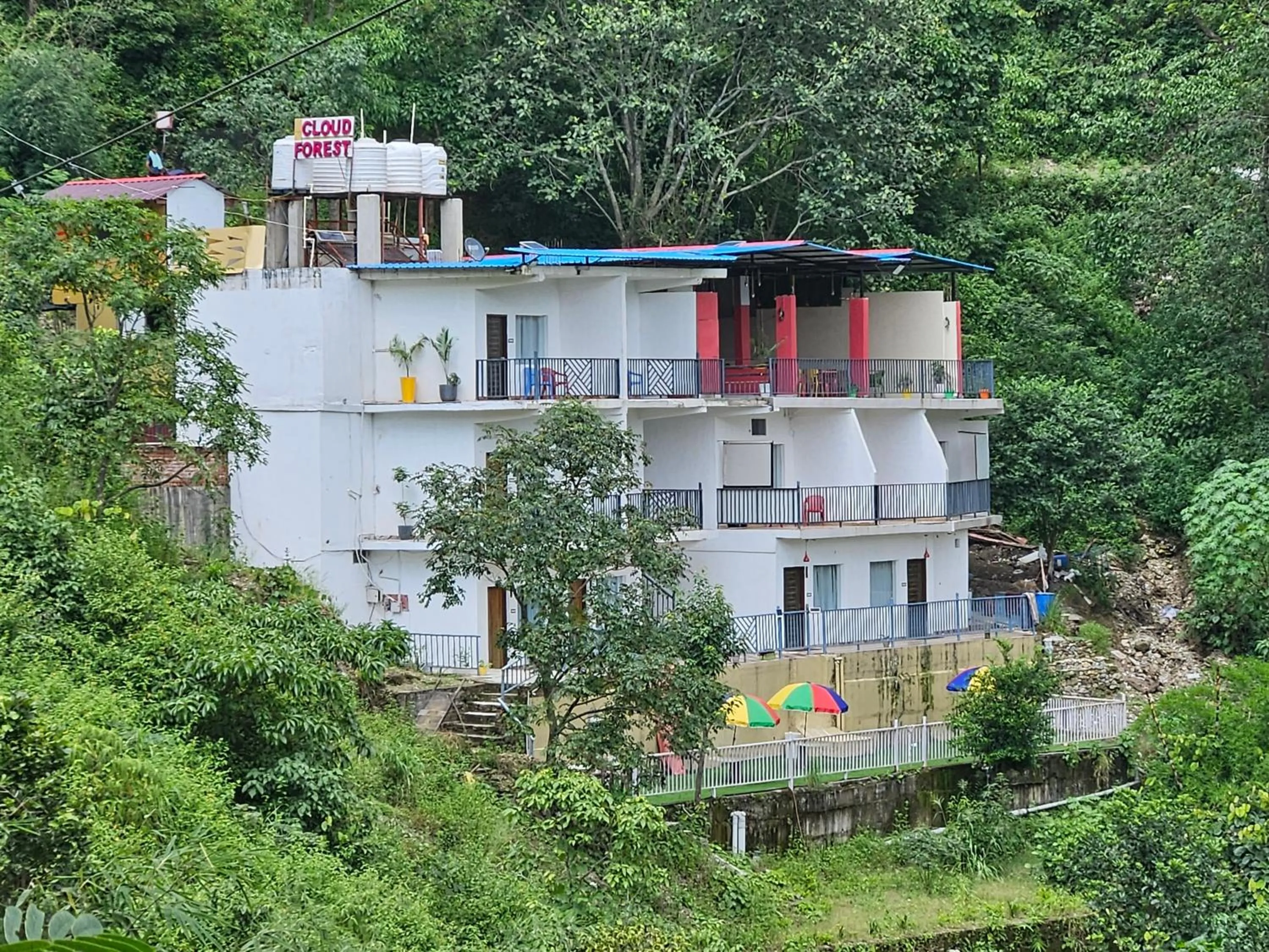 Property building in Cloud Forest