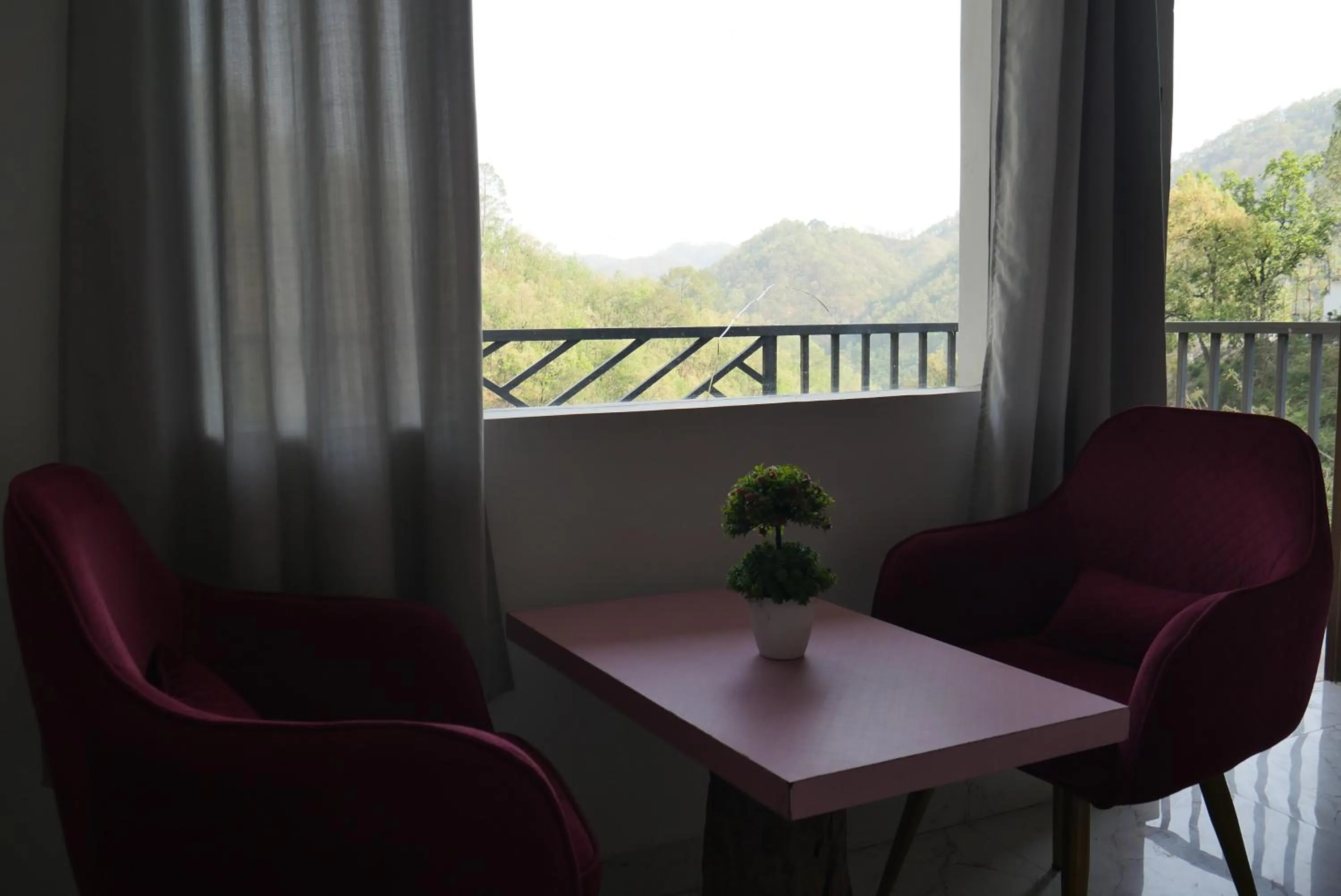 View (from property/room) in Cloud Forest