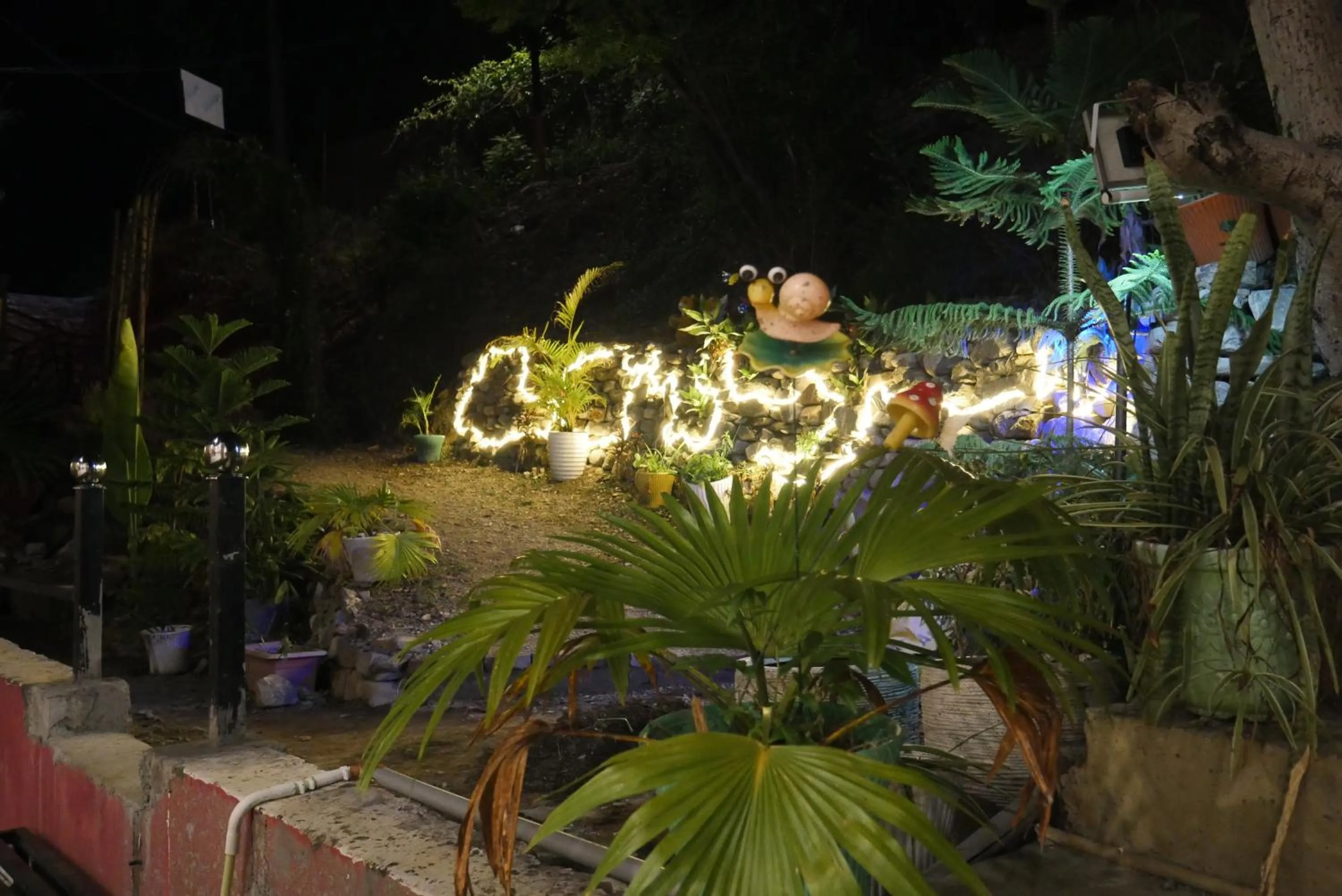 Restaurant/places to eat in Cloud Forest