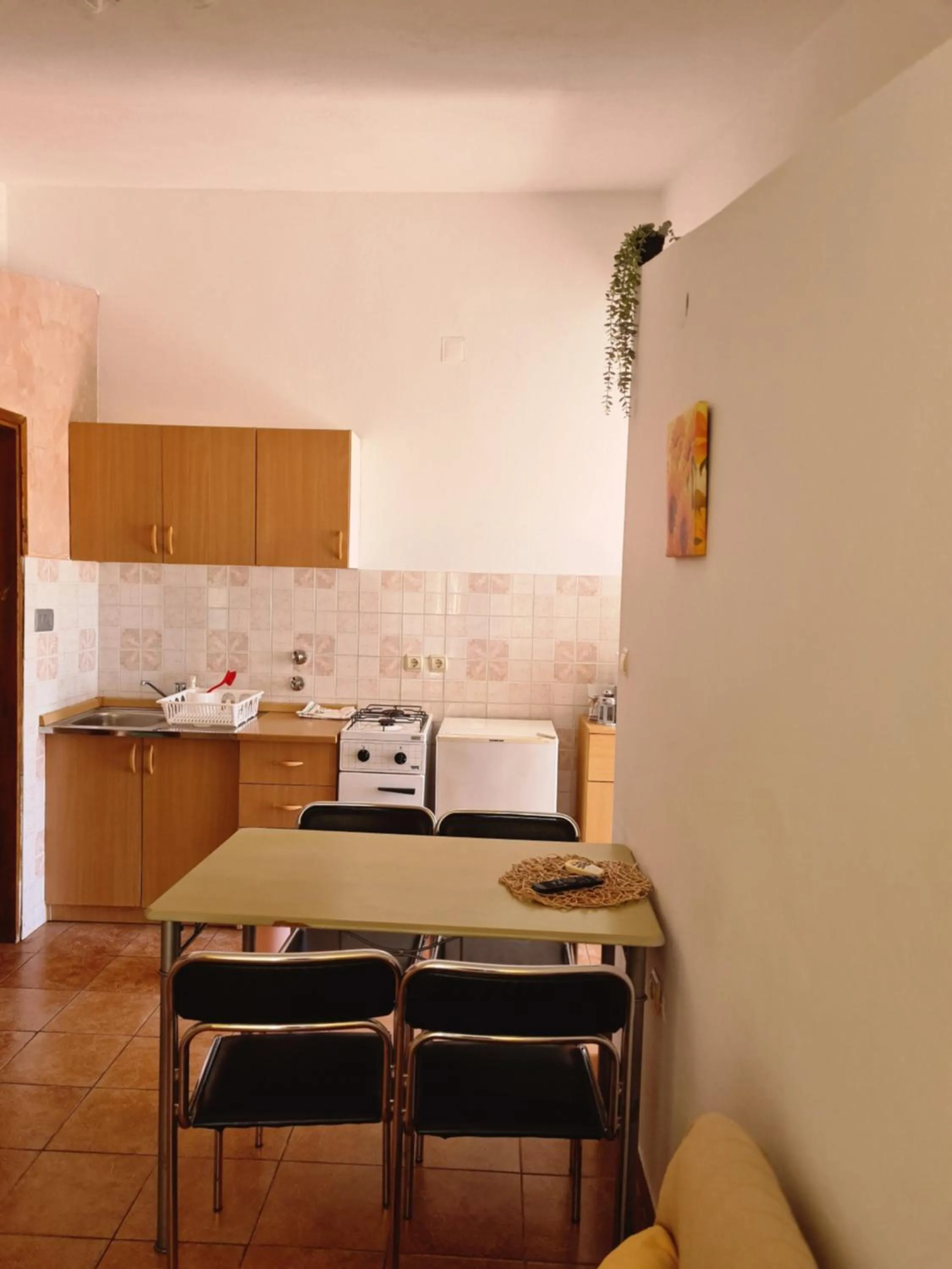 Kitchen or kitchenette in Apartments Niko