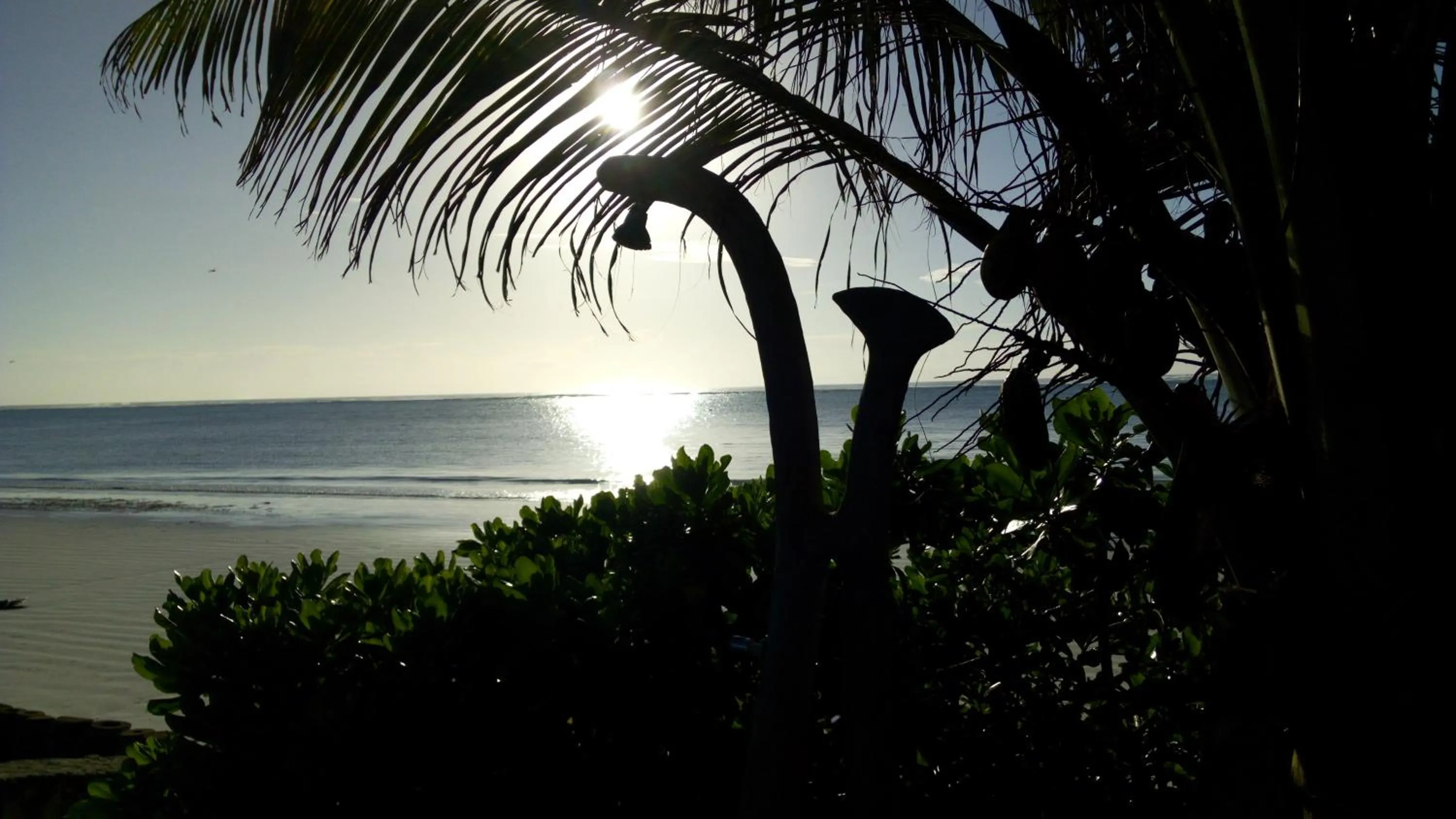 Beach in Zanzibar Bahari Villas