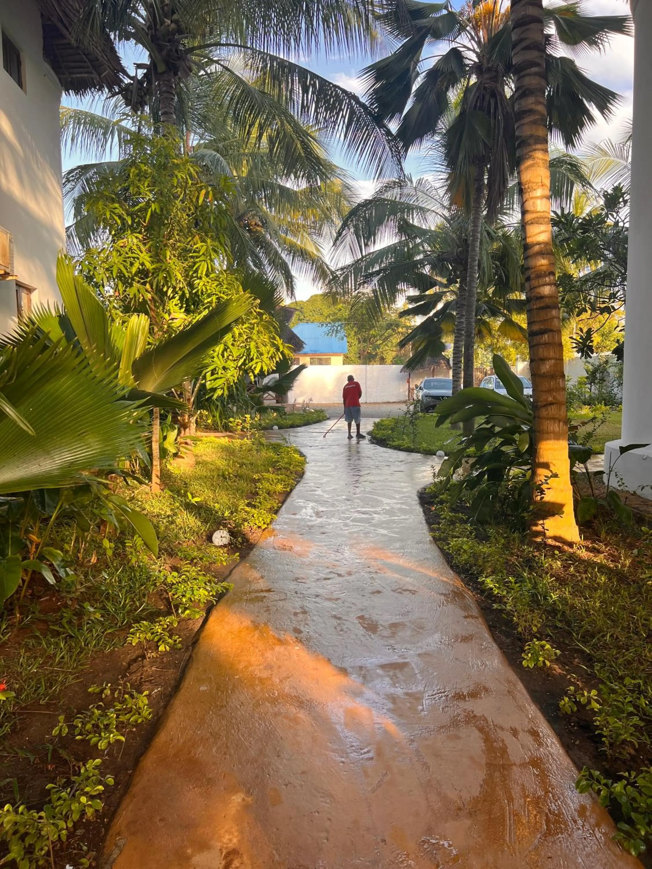 Garden view in Zanzibar Bahari Villas