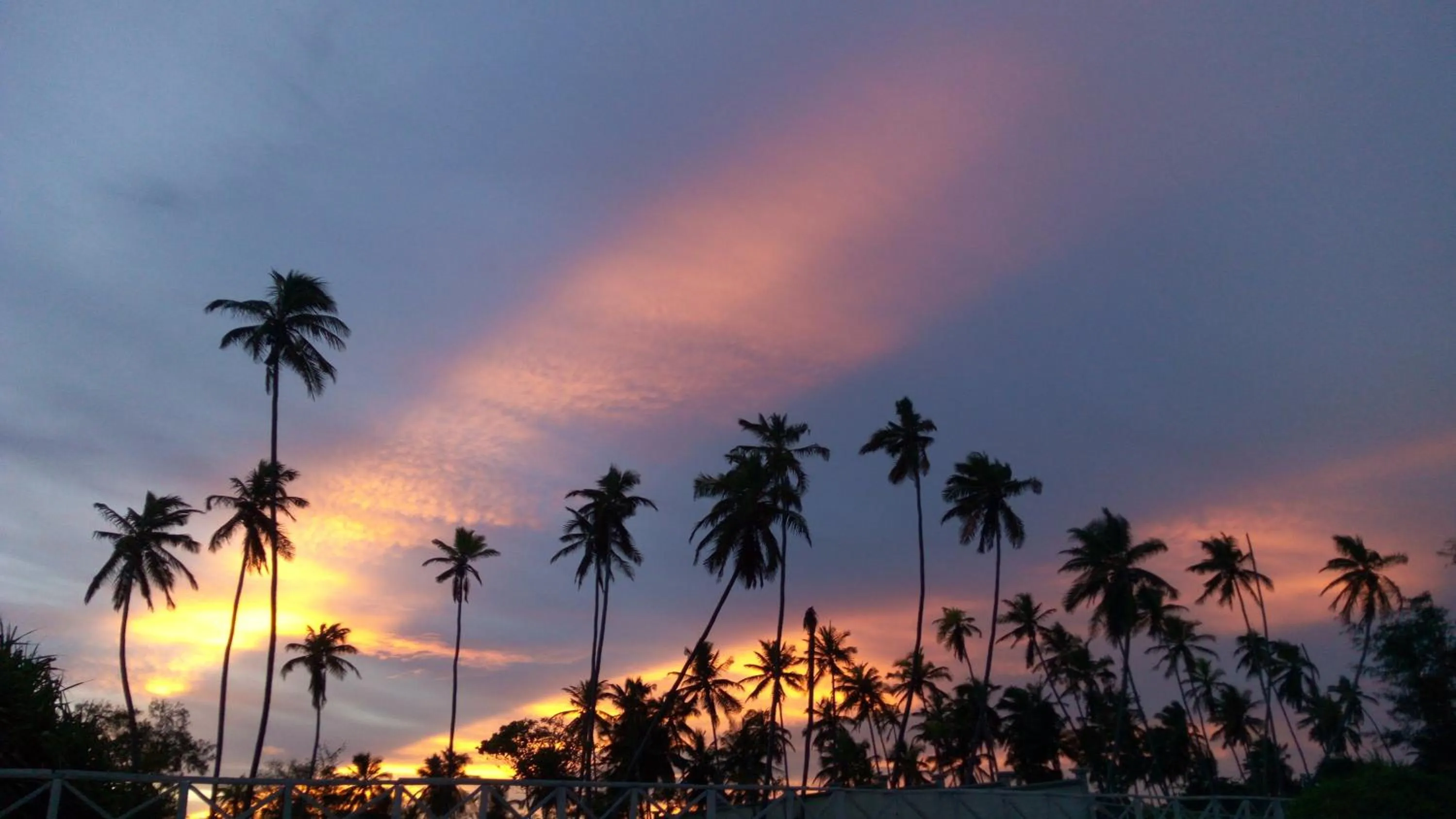 Garden in Zanzibar Bahari Villas