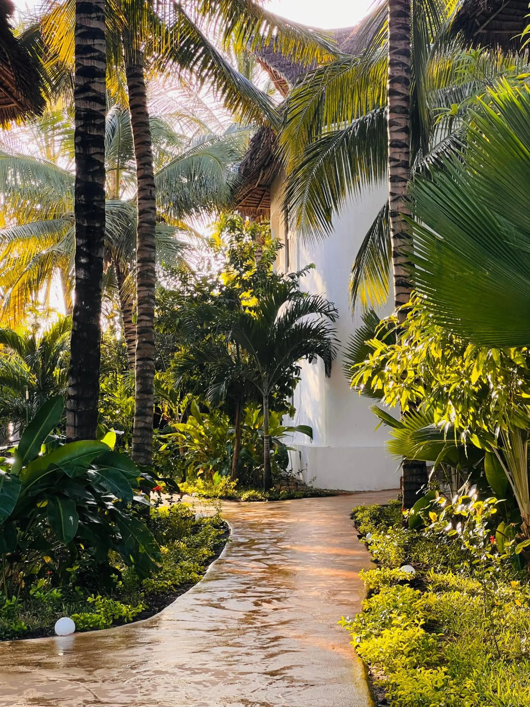 Garden in Zanzibar Bahari Villas