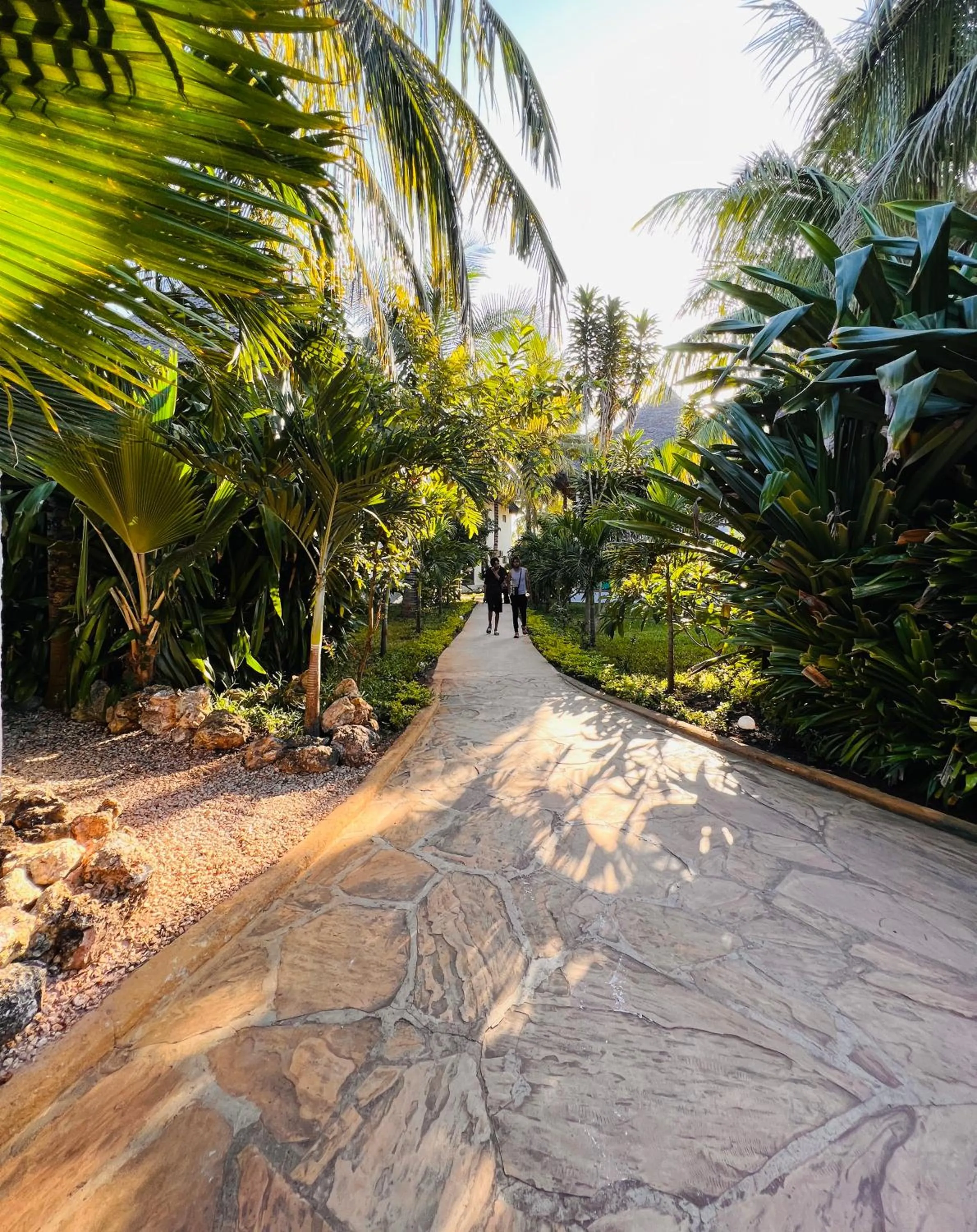 Natural landscape in Zanzibar Bahari Villas
