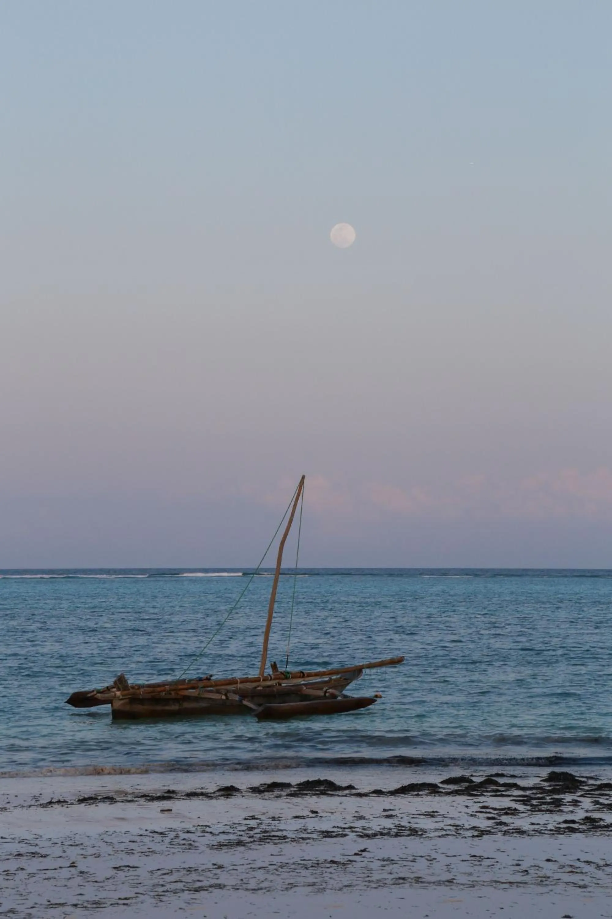 Sea view in Zanzibar Bahari Villas