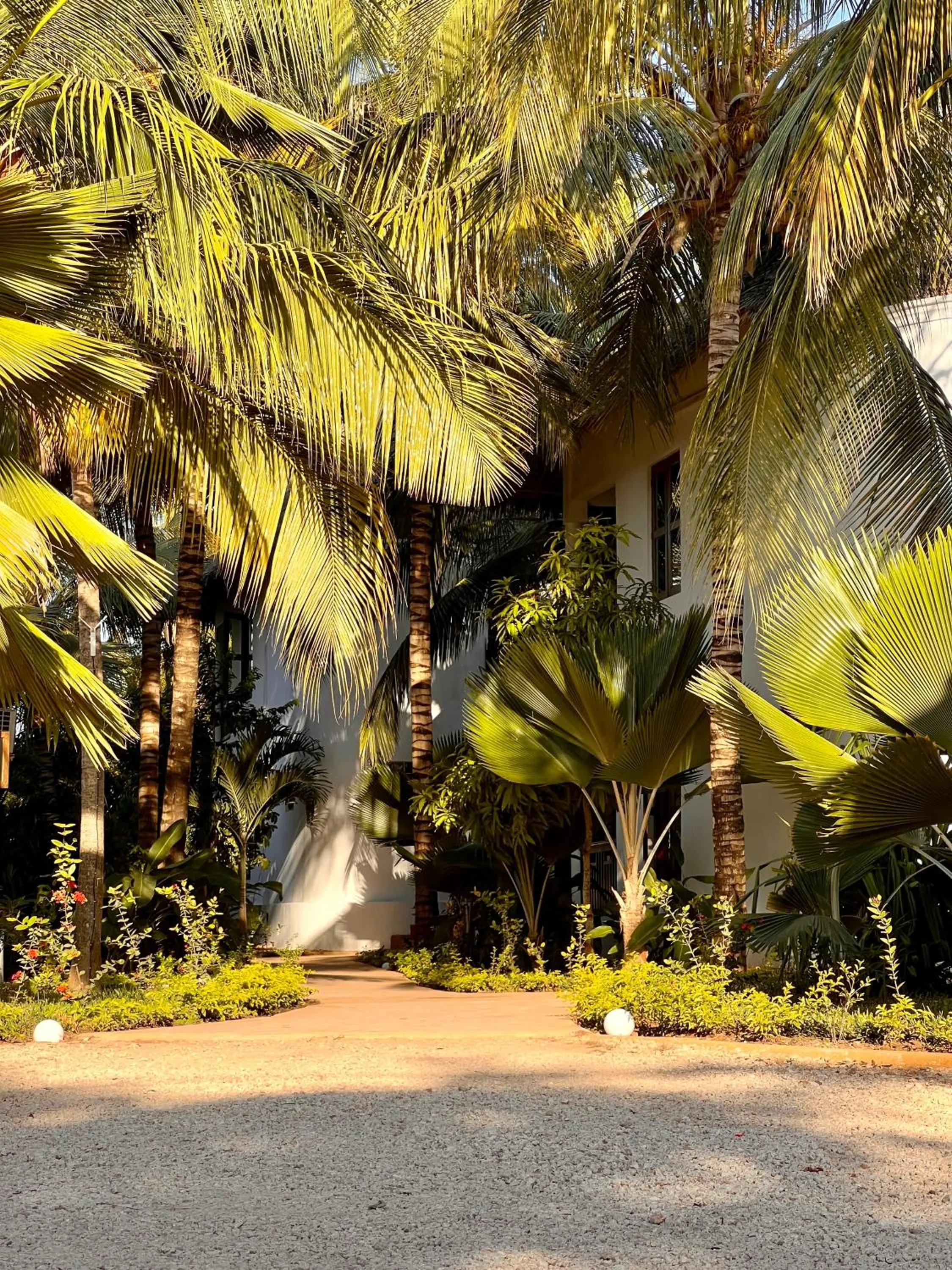 Garden view in Zanzibar Bahari Villas