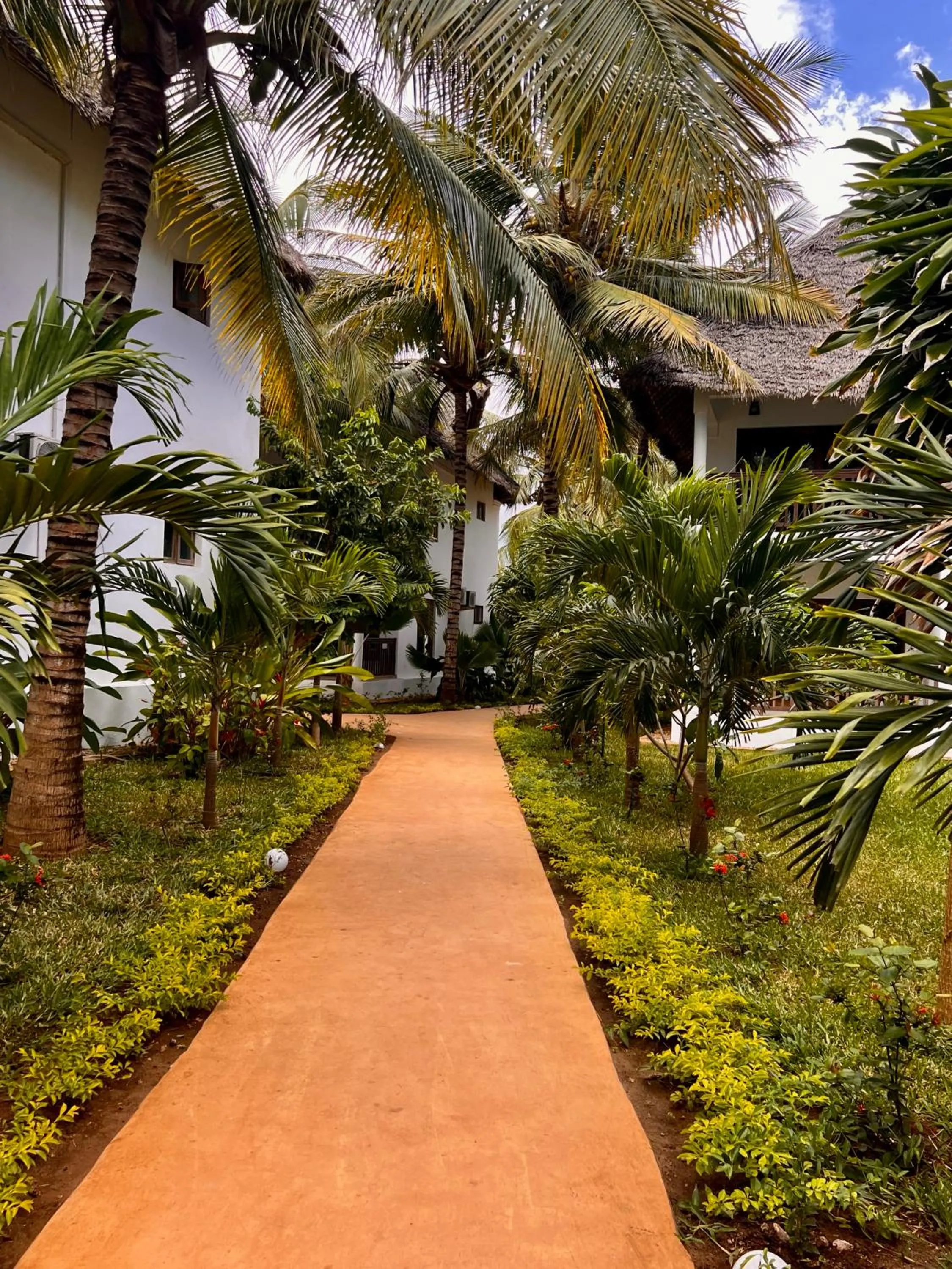 Natural landscape in Zanzibar Bahari Villas