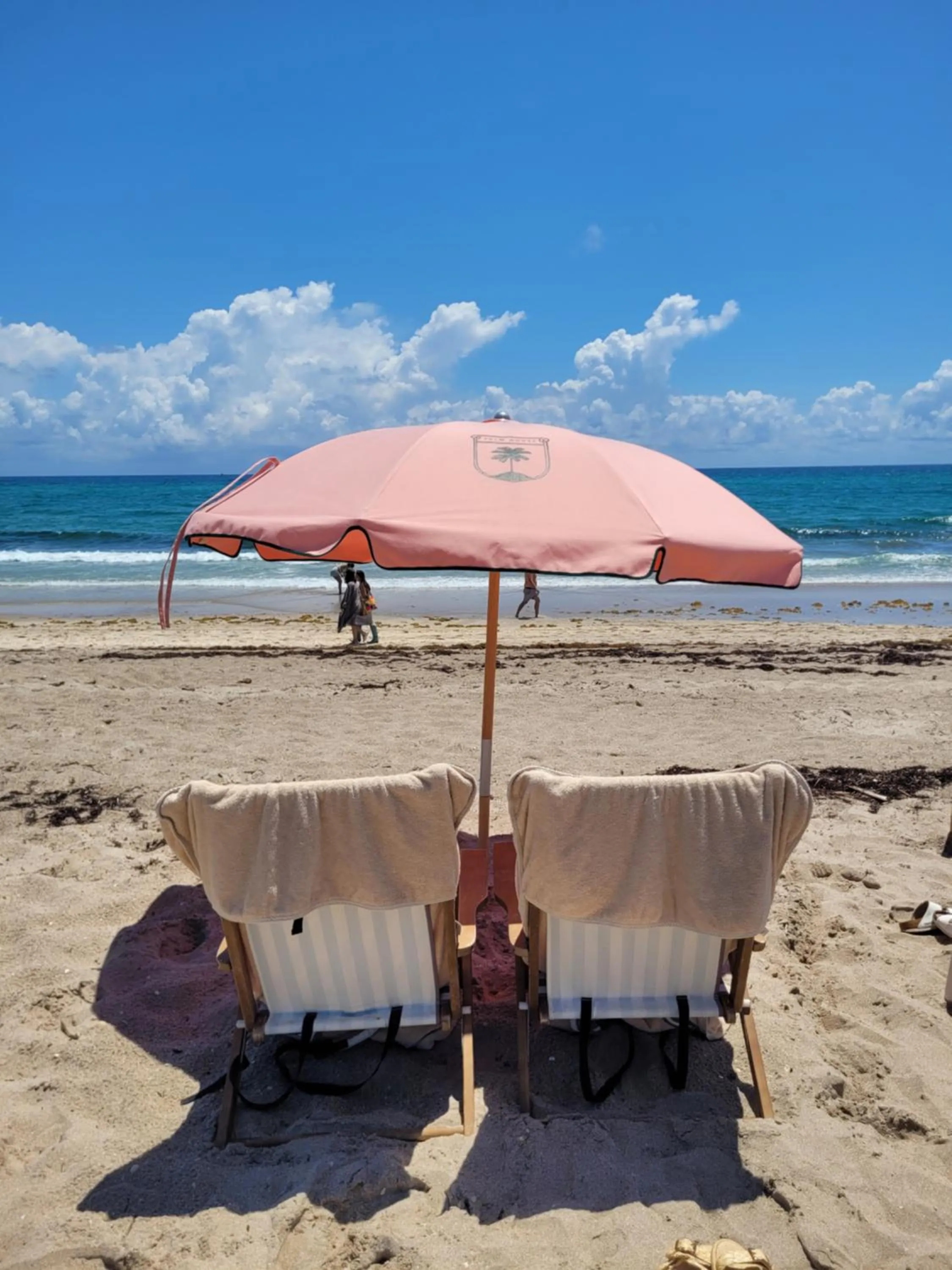 Beach in Palm House Hotel Palm Beach