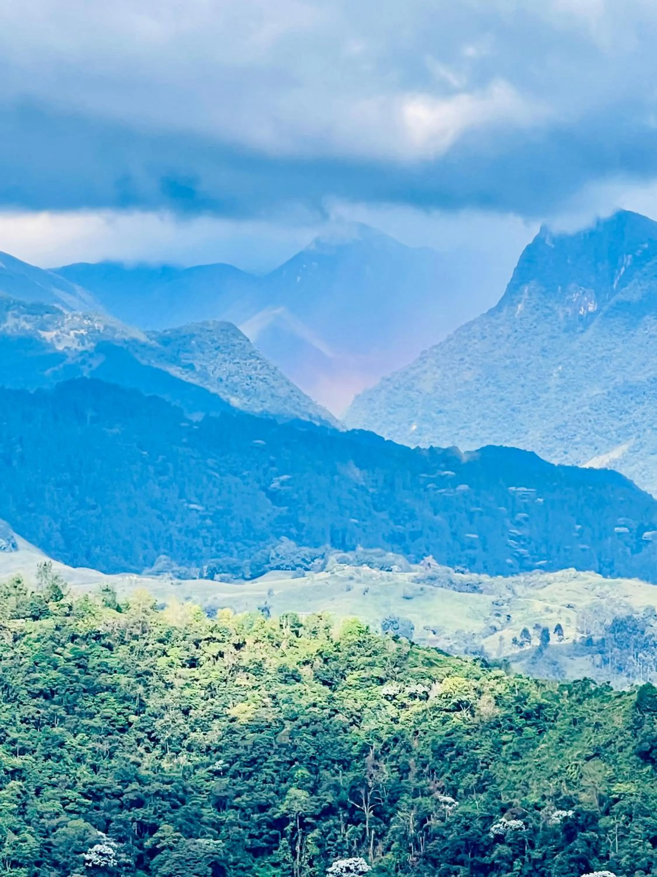 Hotel Reserva Monarca