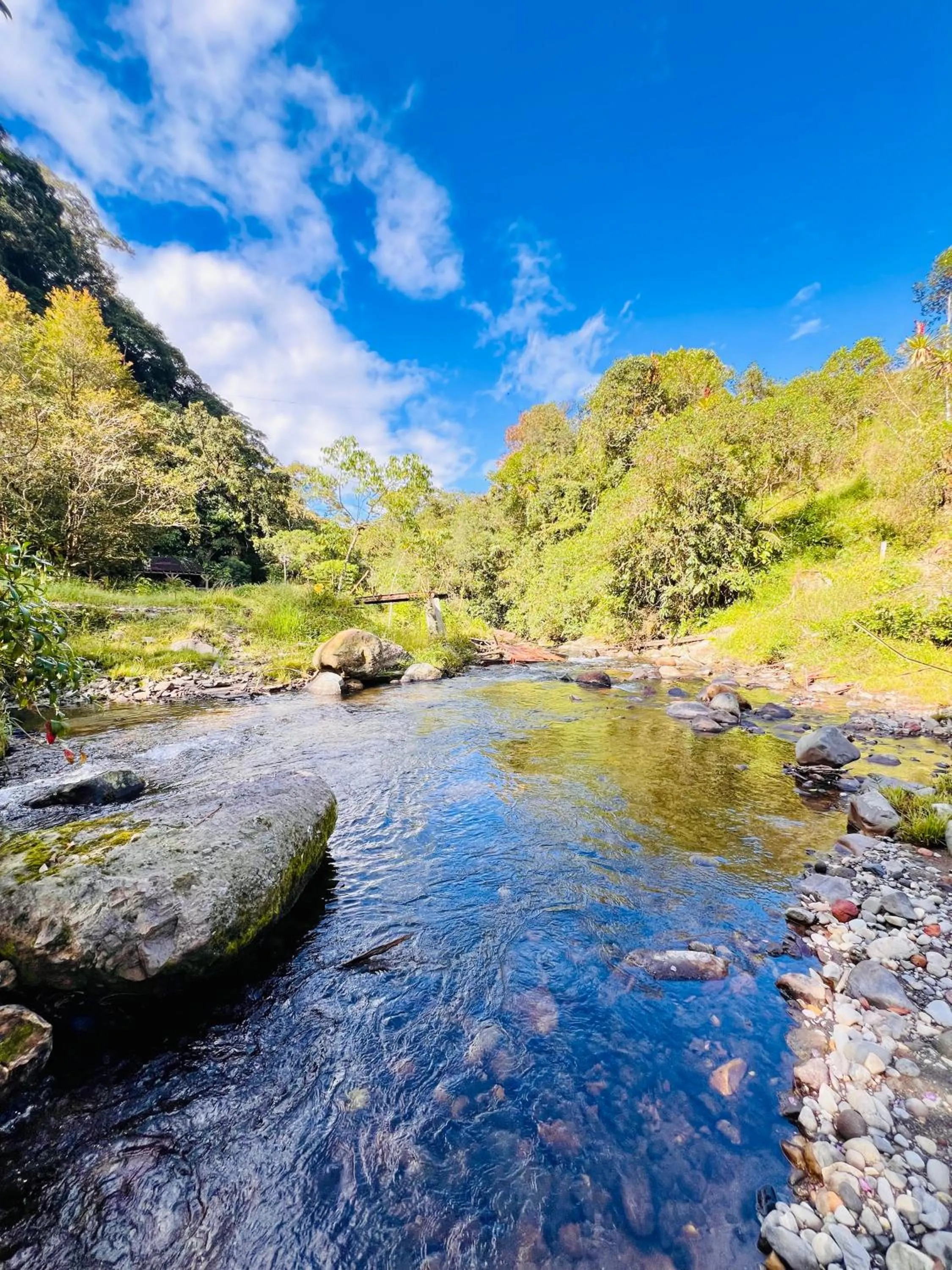 Hotel Reserva Monarca