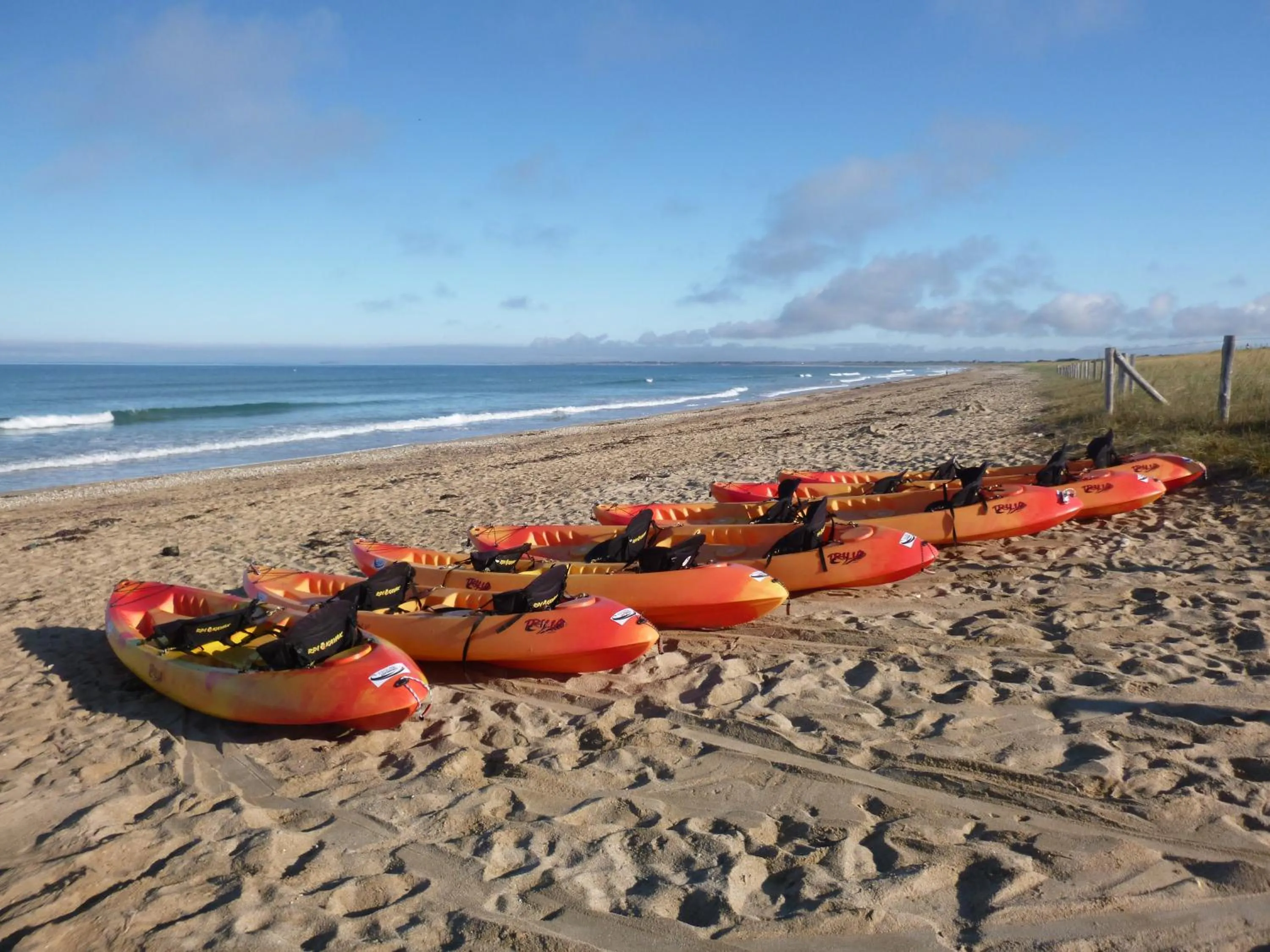 Beach in Auberge des dunes - Rêves de mer