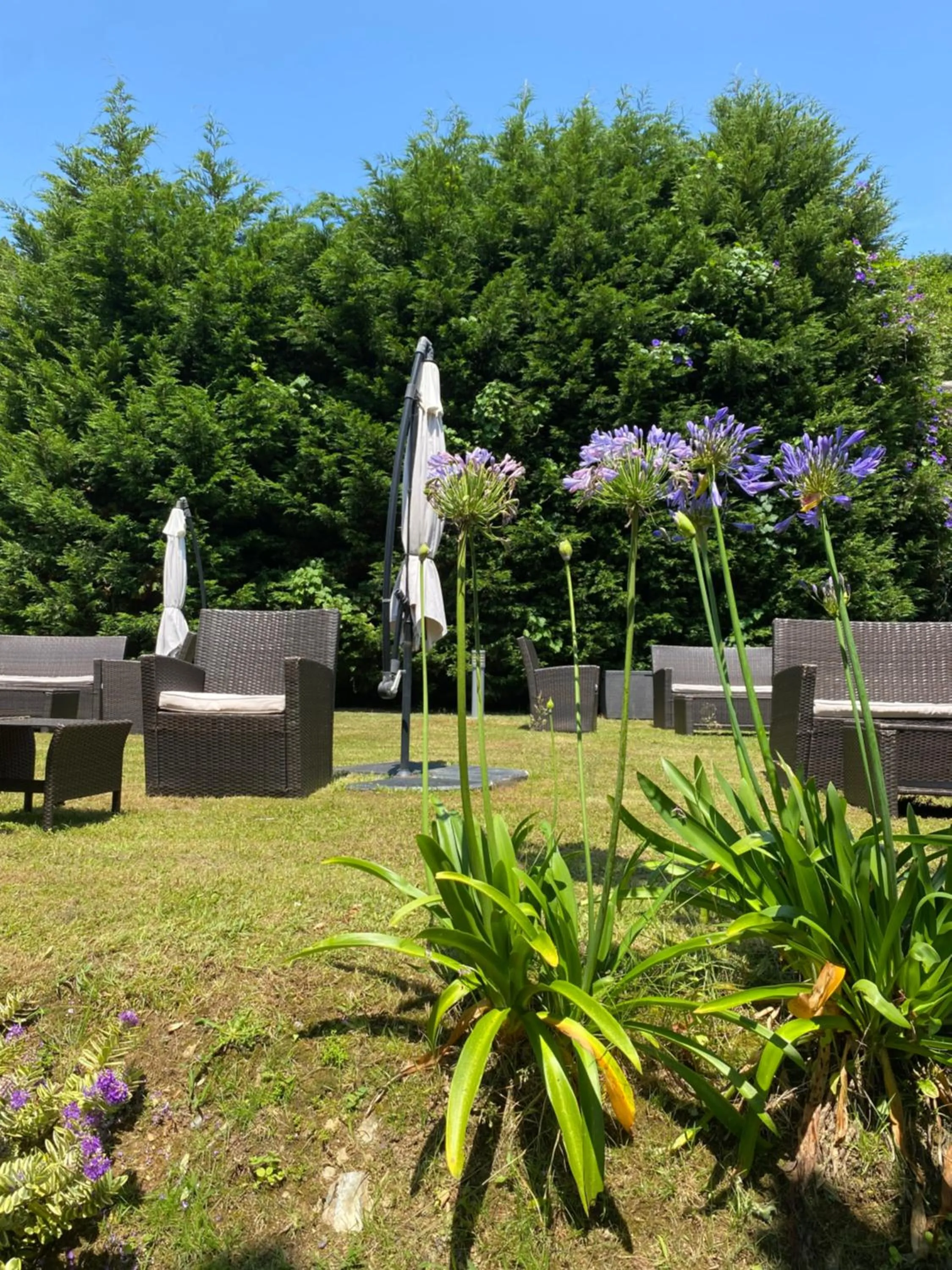 Garden in Finca Portizuelo