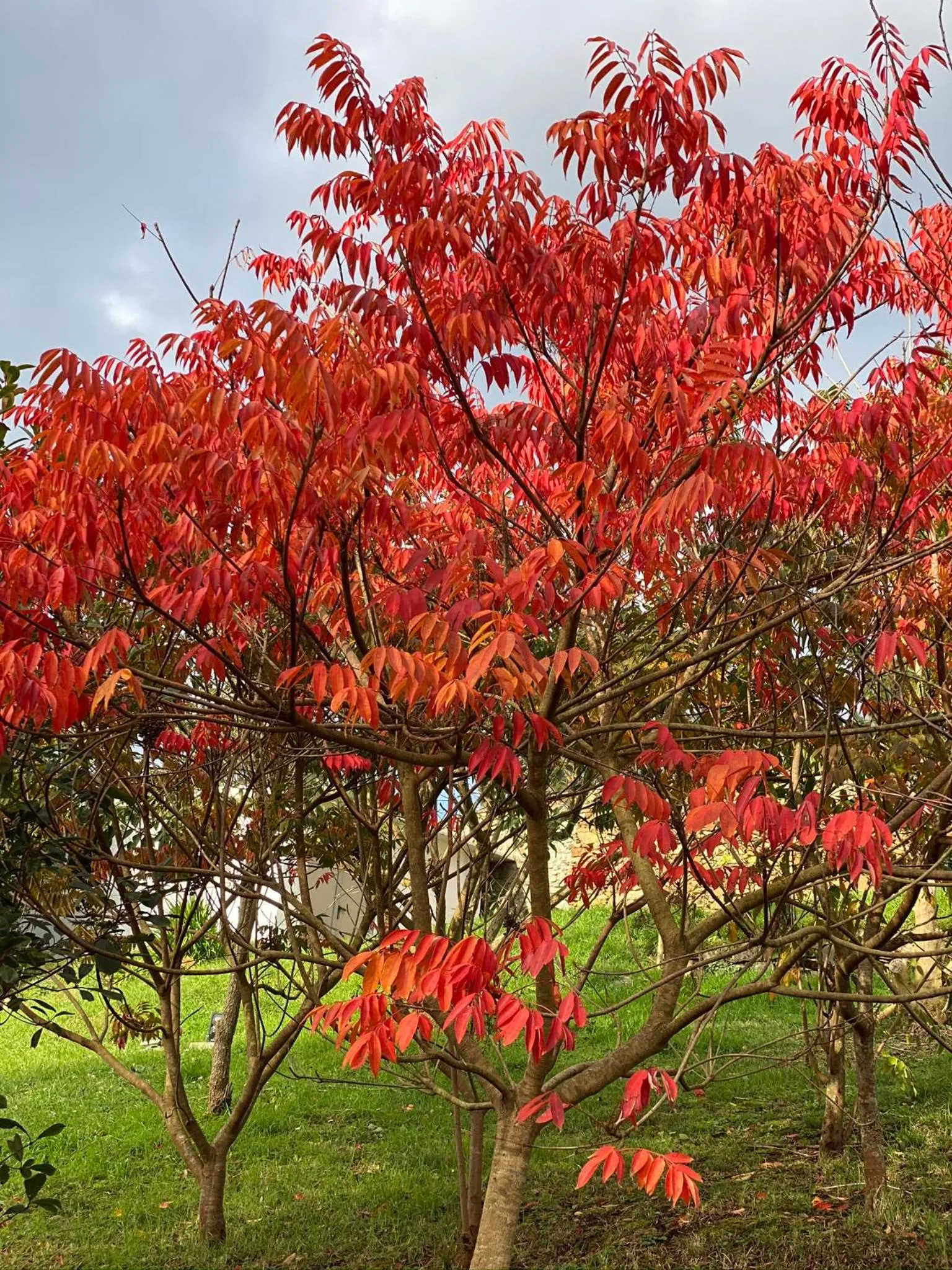 Garden in Finca Portizuelo