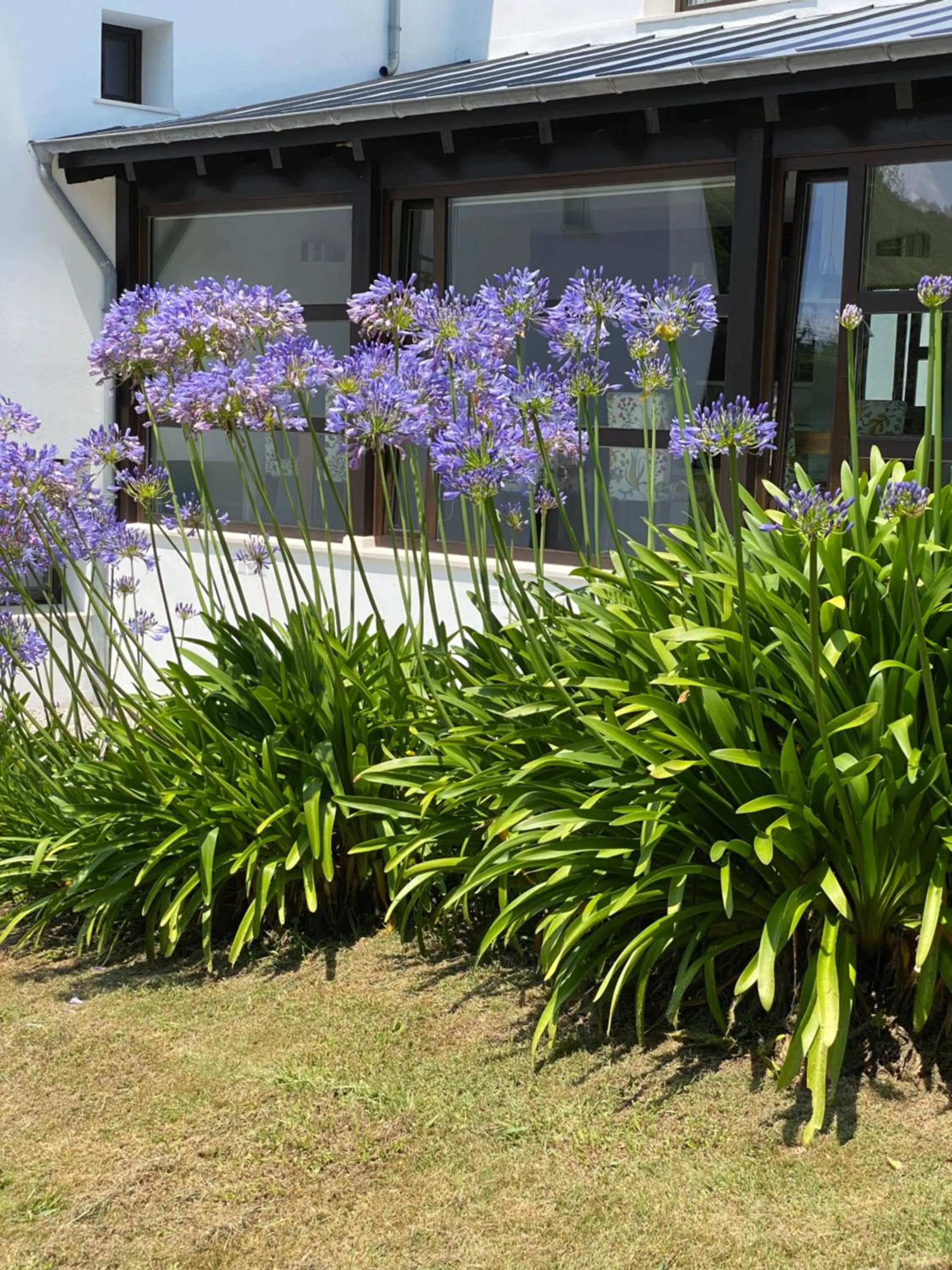Garden in Finca Portizuelo