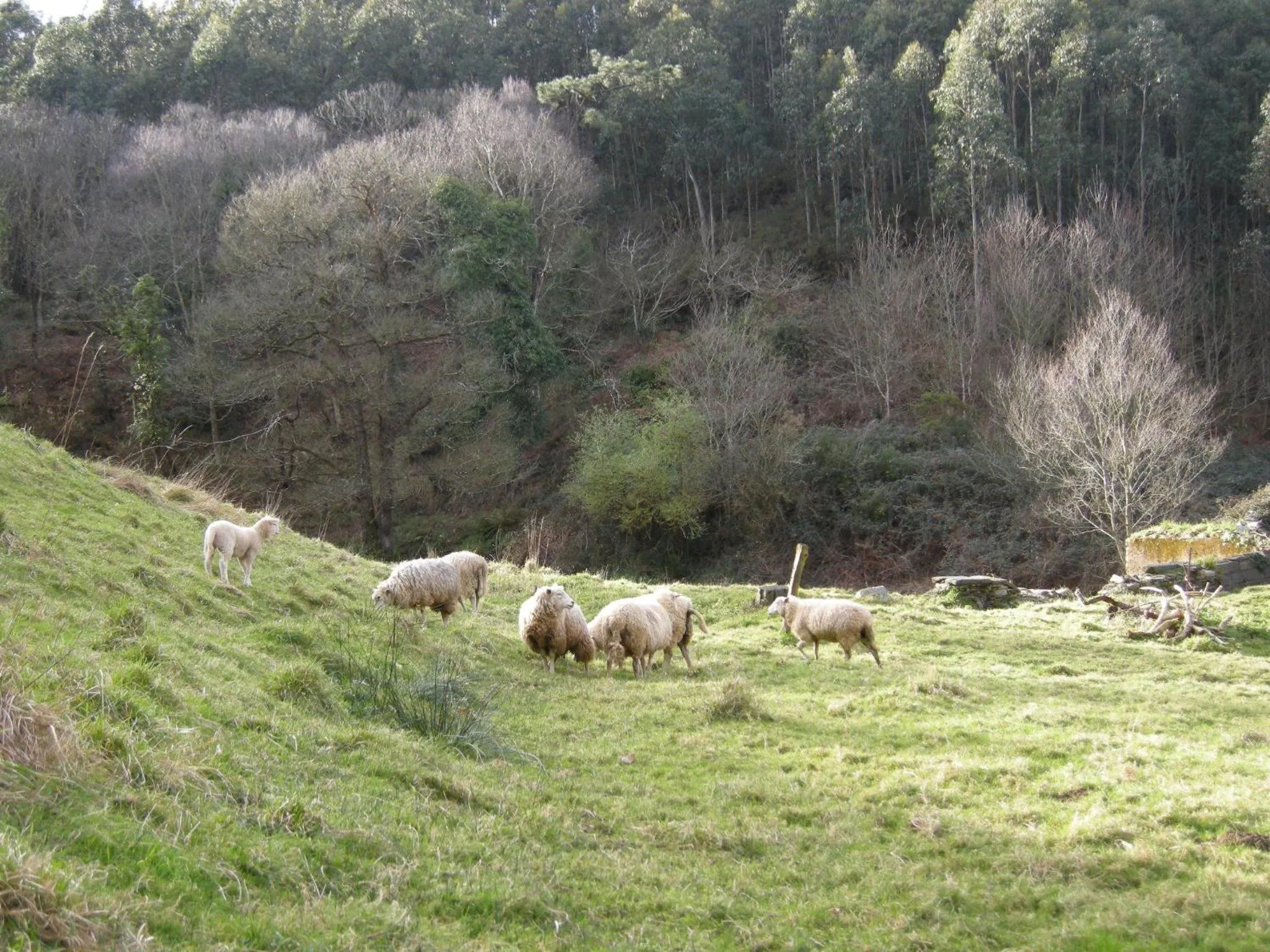 Garden in Finca Portizuelo