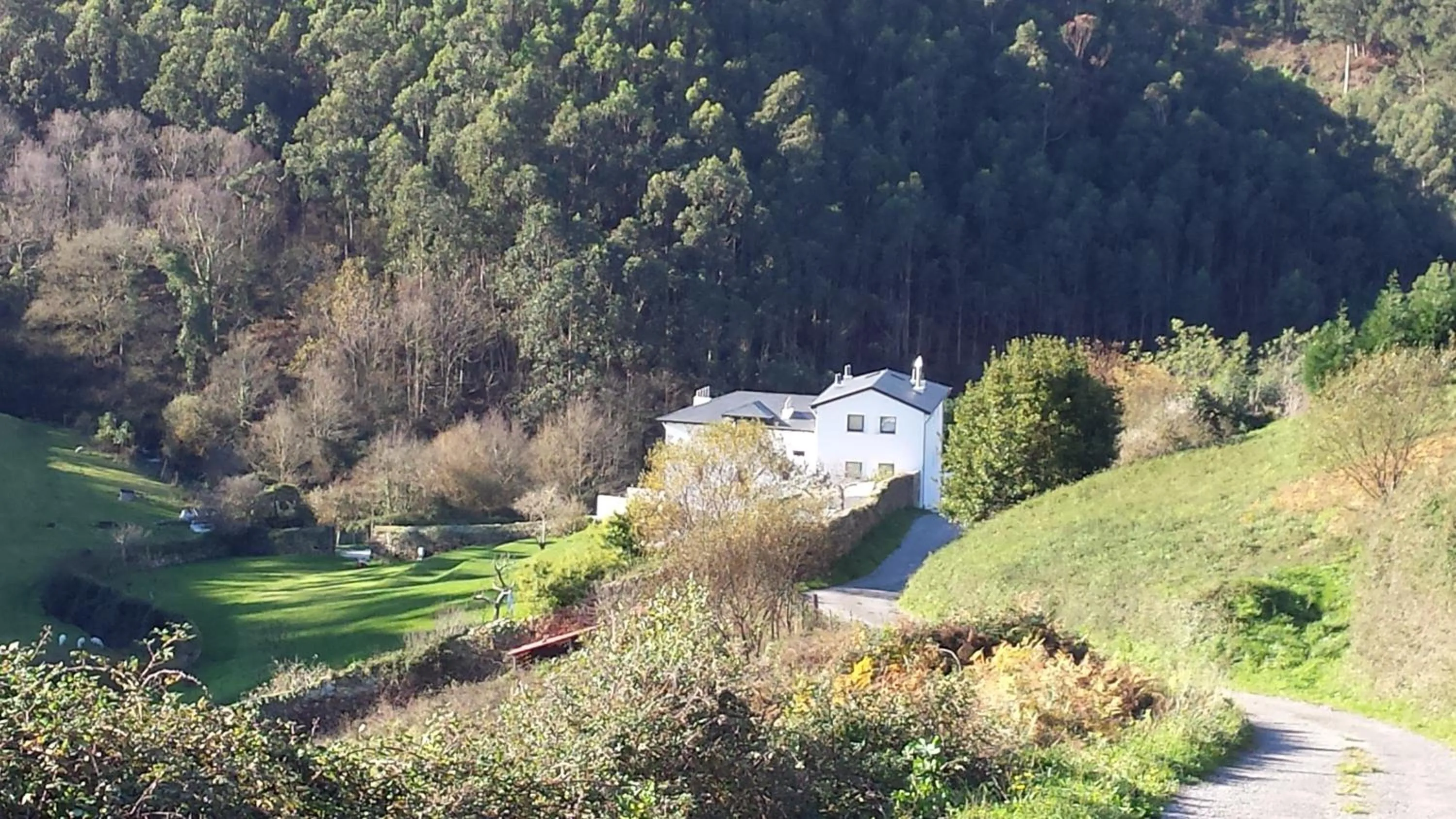 Area and facilities in Finca Portizuelo