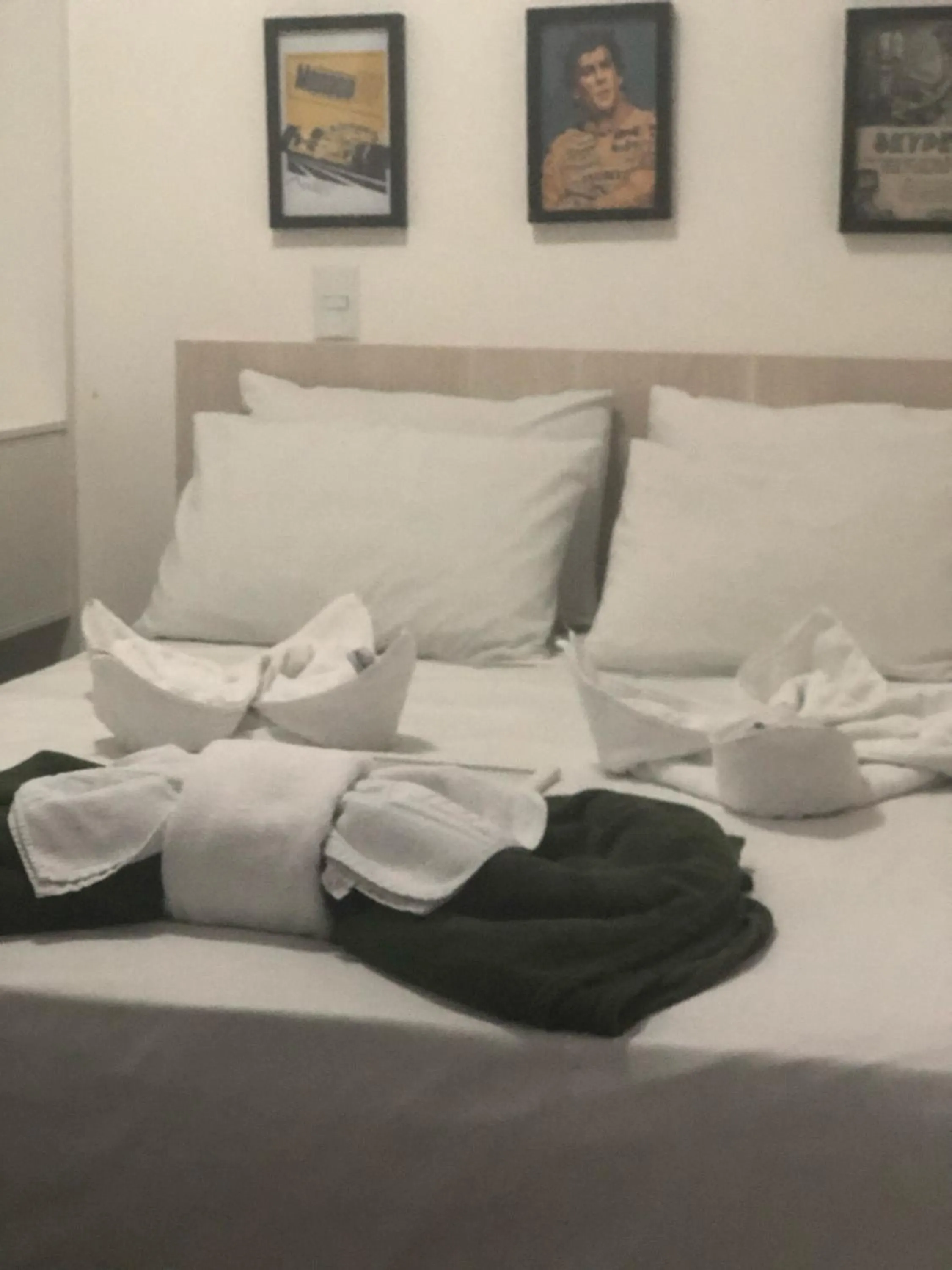 Bed in Hotel Areião