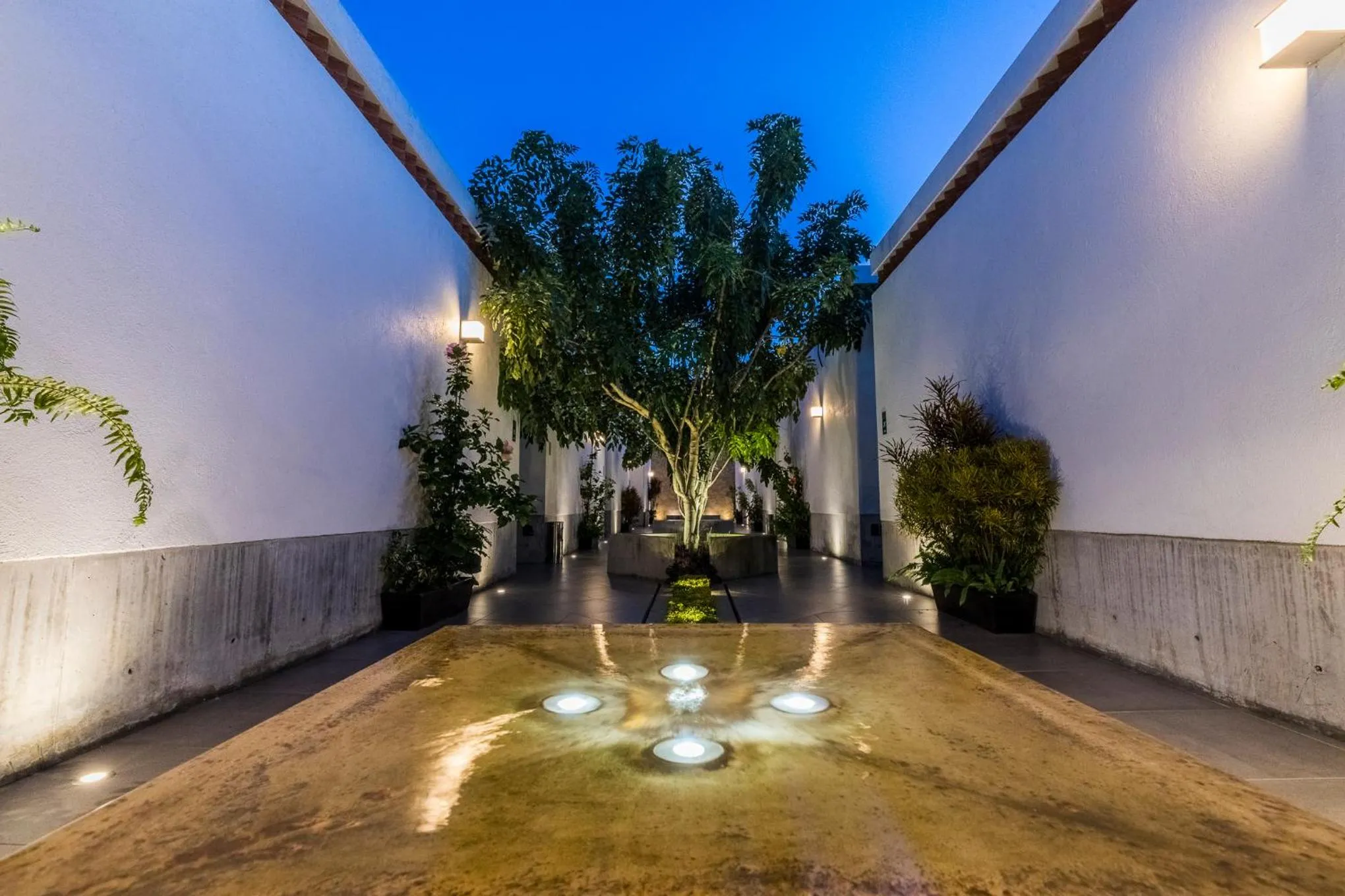 Patio in Marialicia Suites, Hotel Boutique