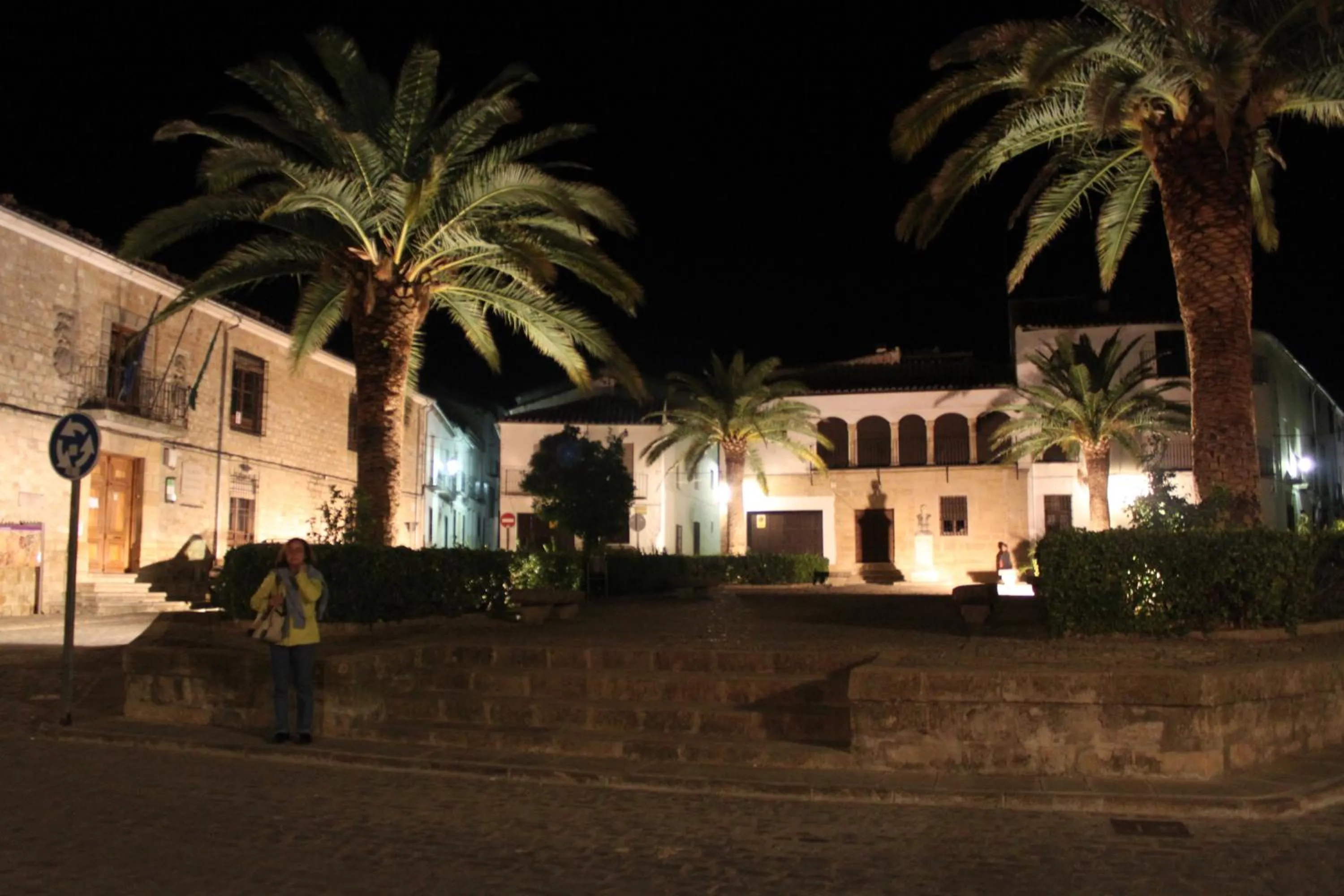 Palacio las Manillas