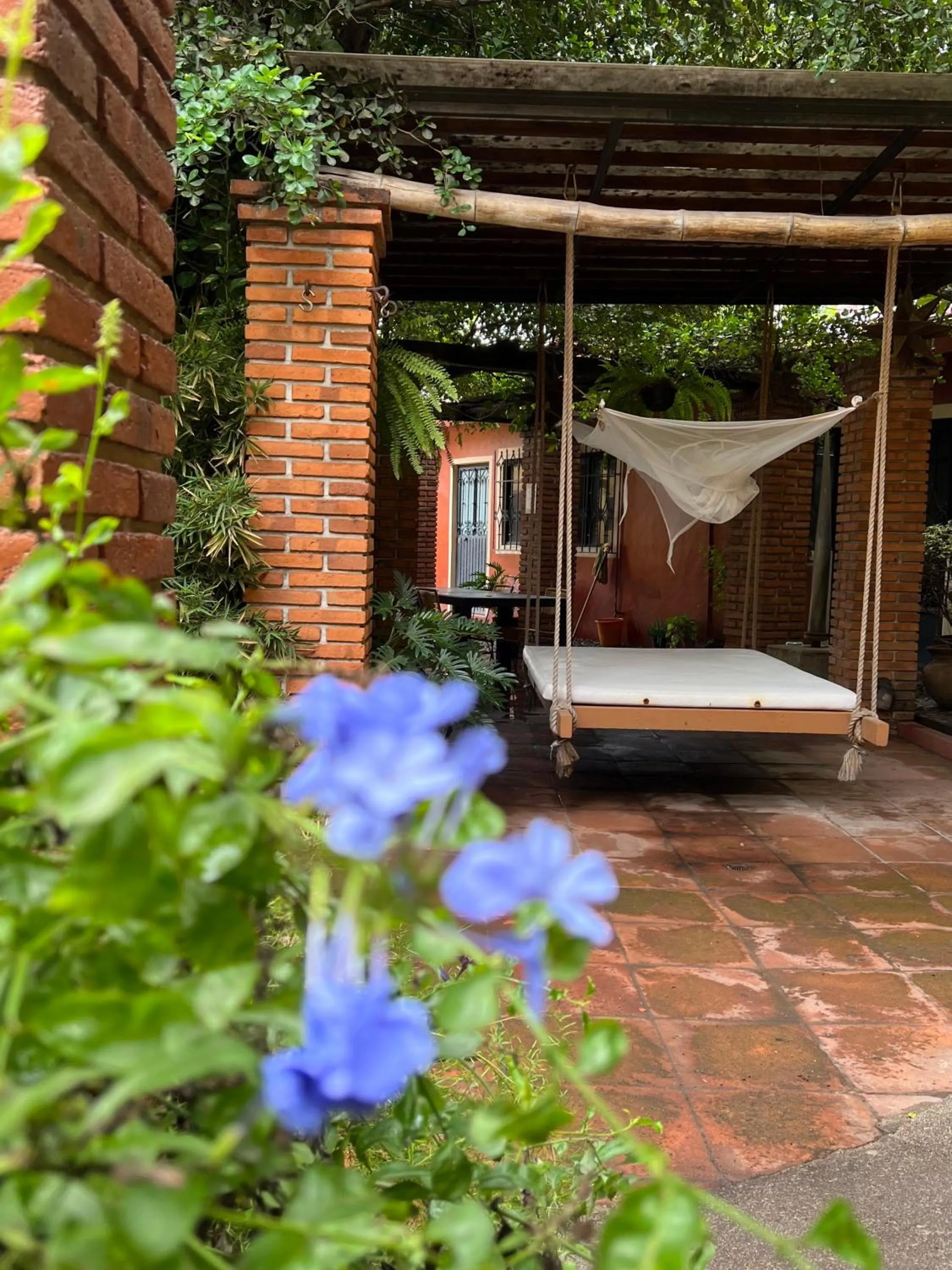 Garden in Hotel Casa Alvarada