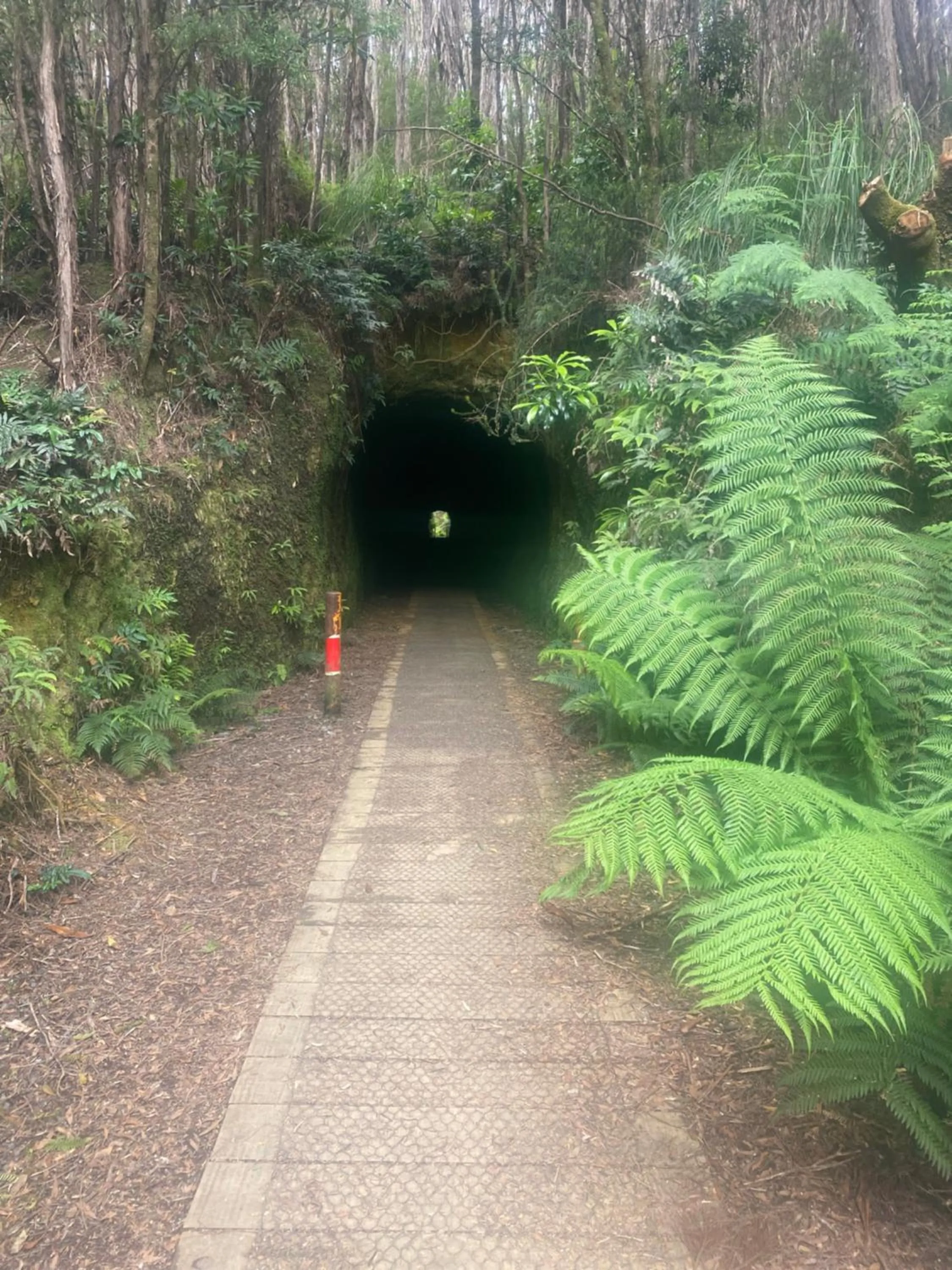 Nearby landmark in Castaway Holiday Apartments