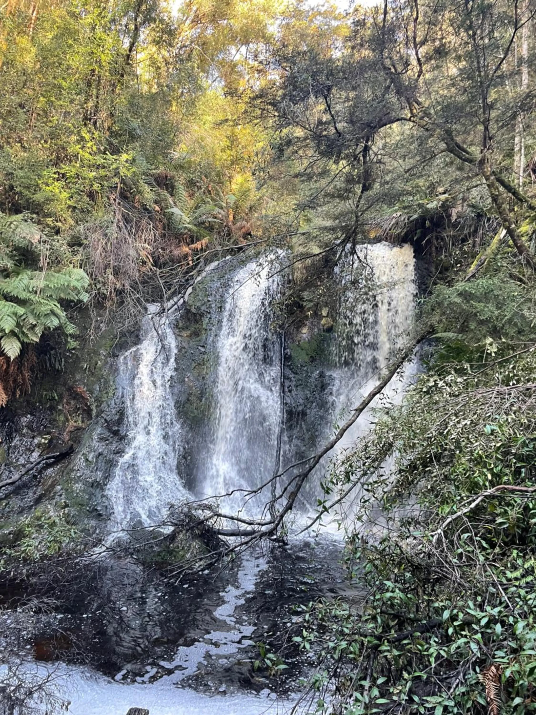 Nearby landmark in Castaway Holiday Apartments