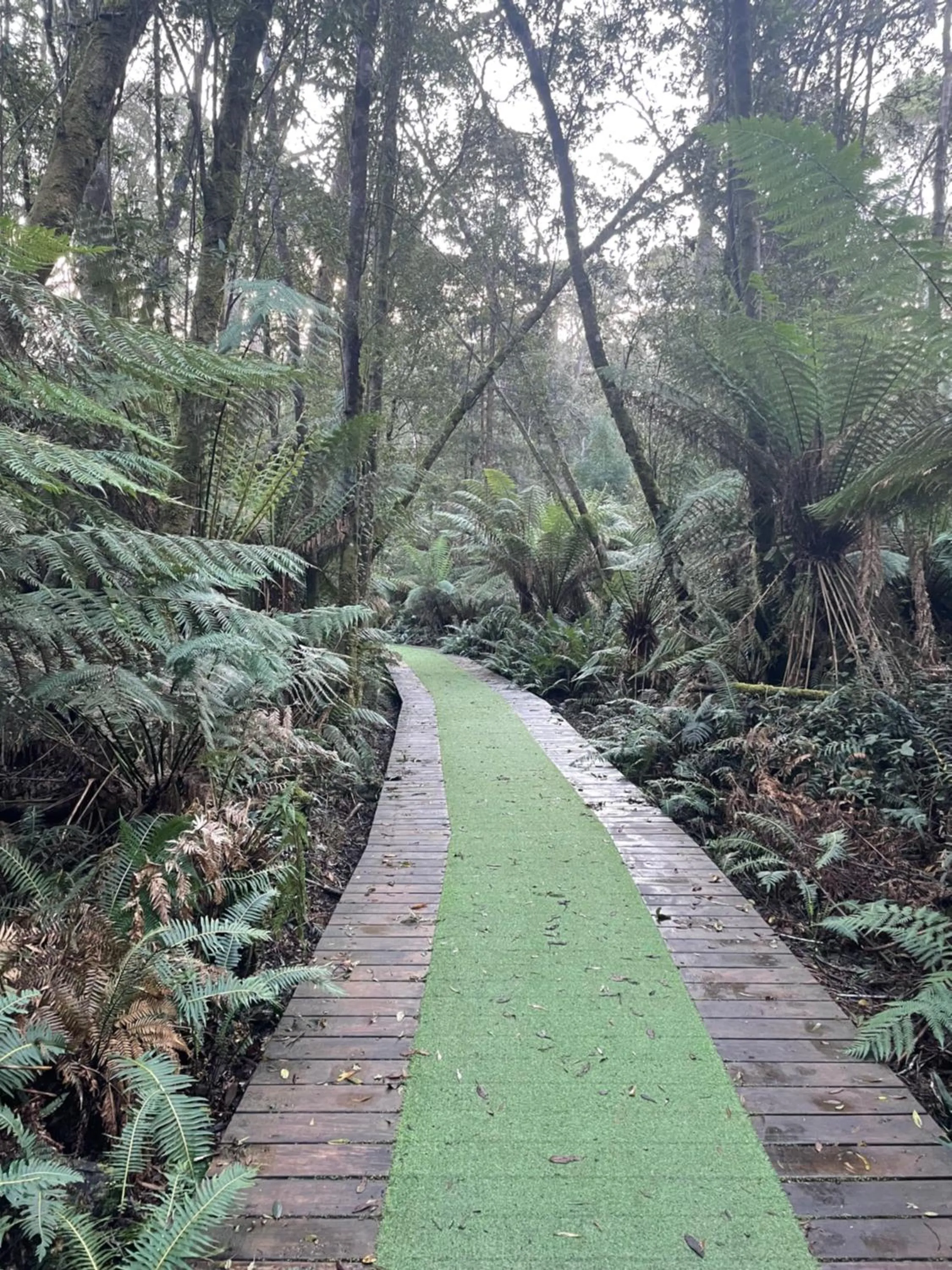 Nearby landmark in Castaway Holiday Apartments