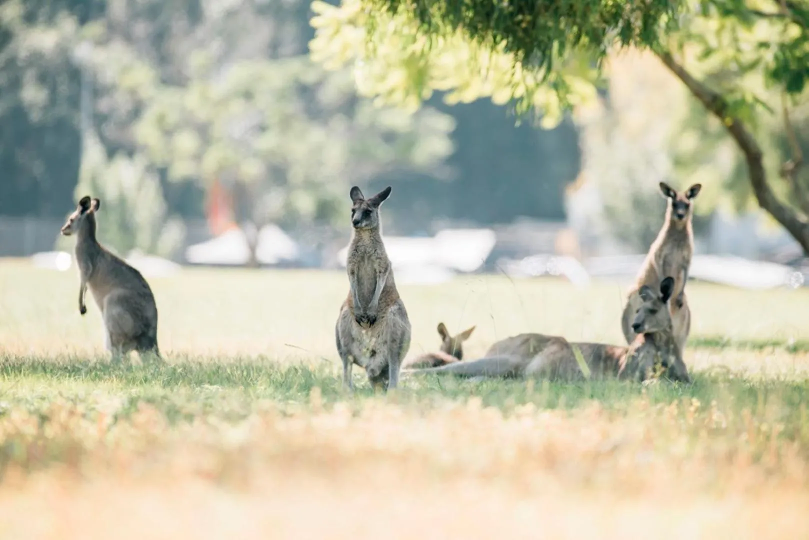 Del Rio Riverside Resort
