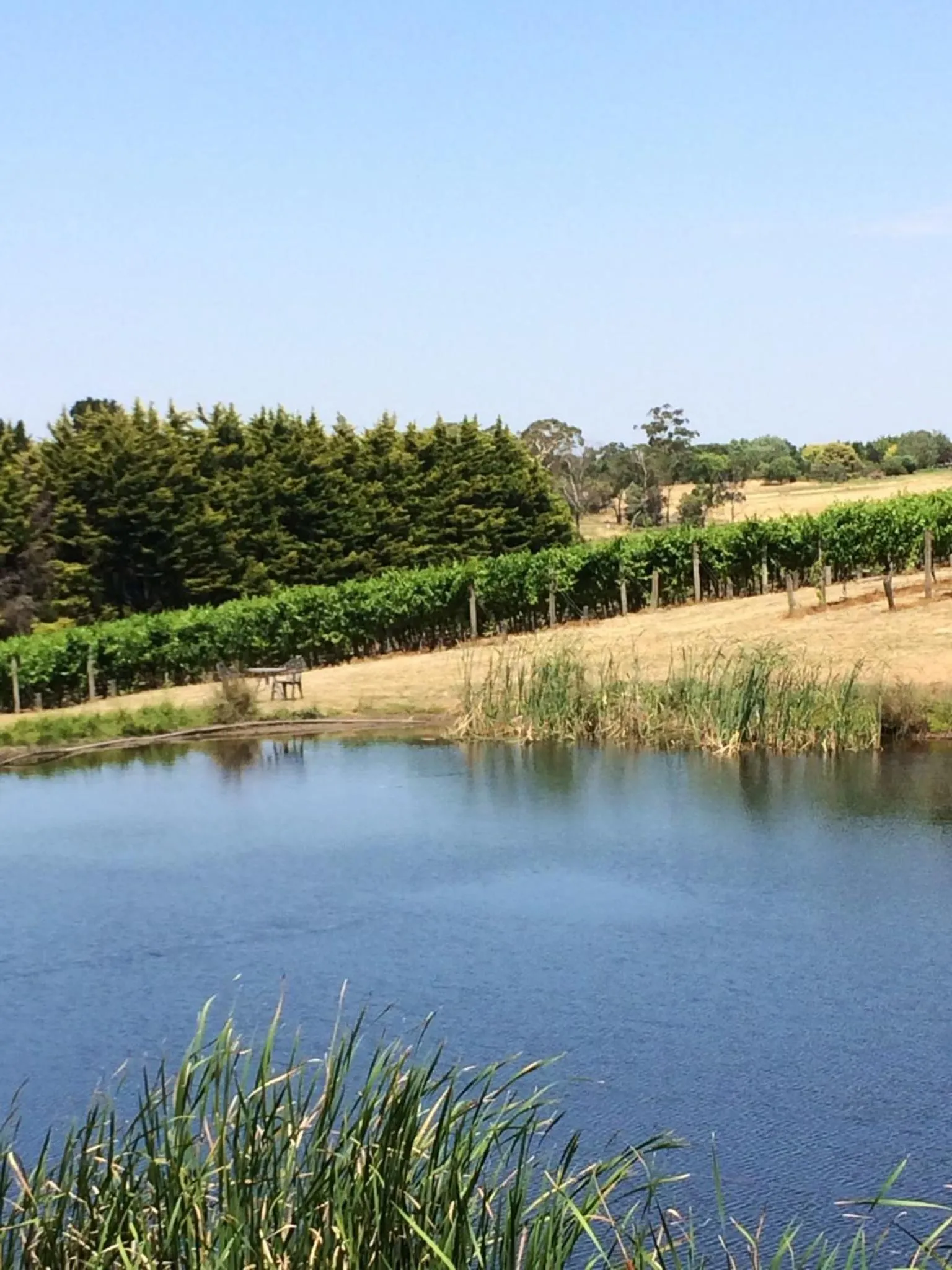 Other in Seville Estate