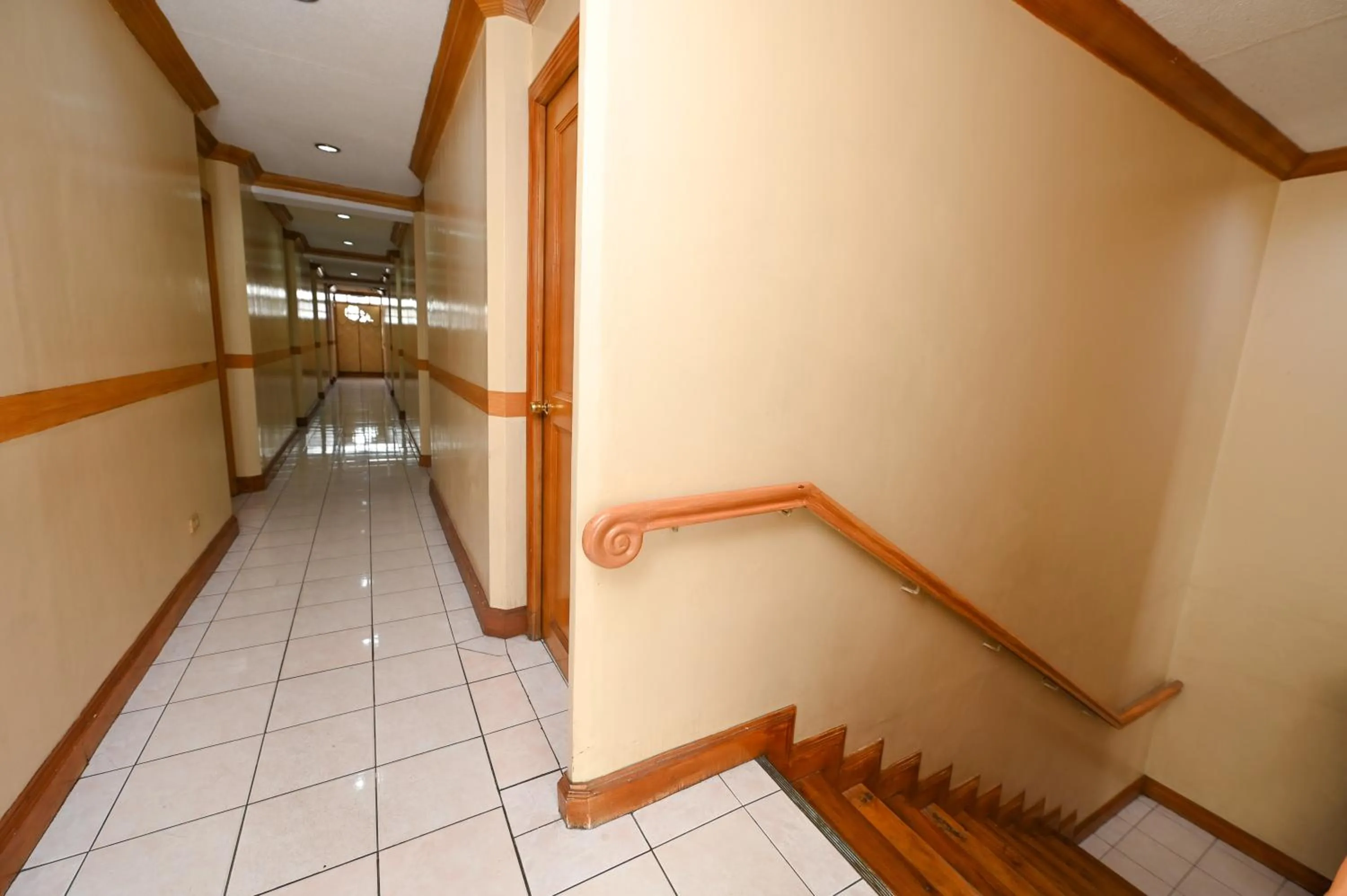 Area and facilities in Nature's Pensionne House