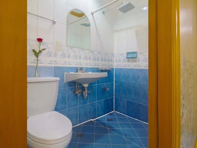 Nature's Pensionne House