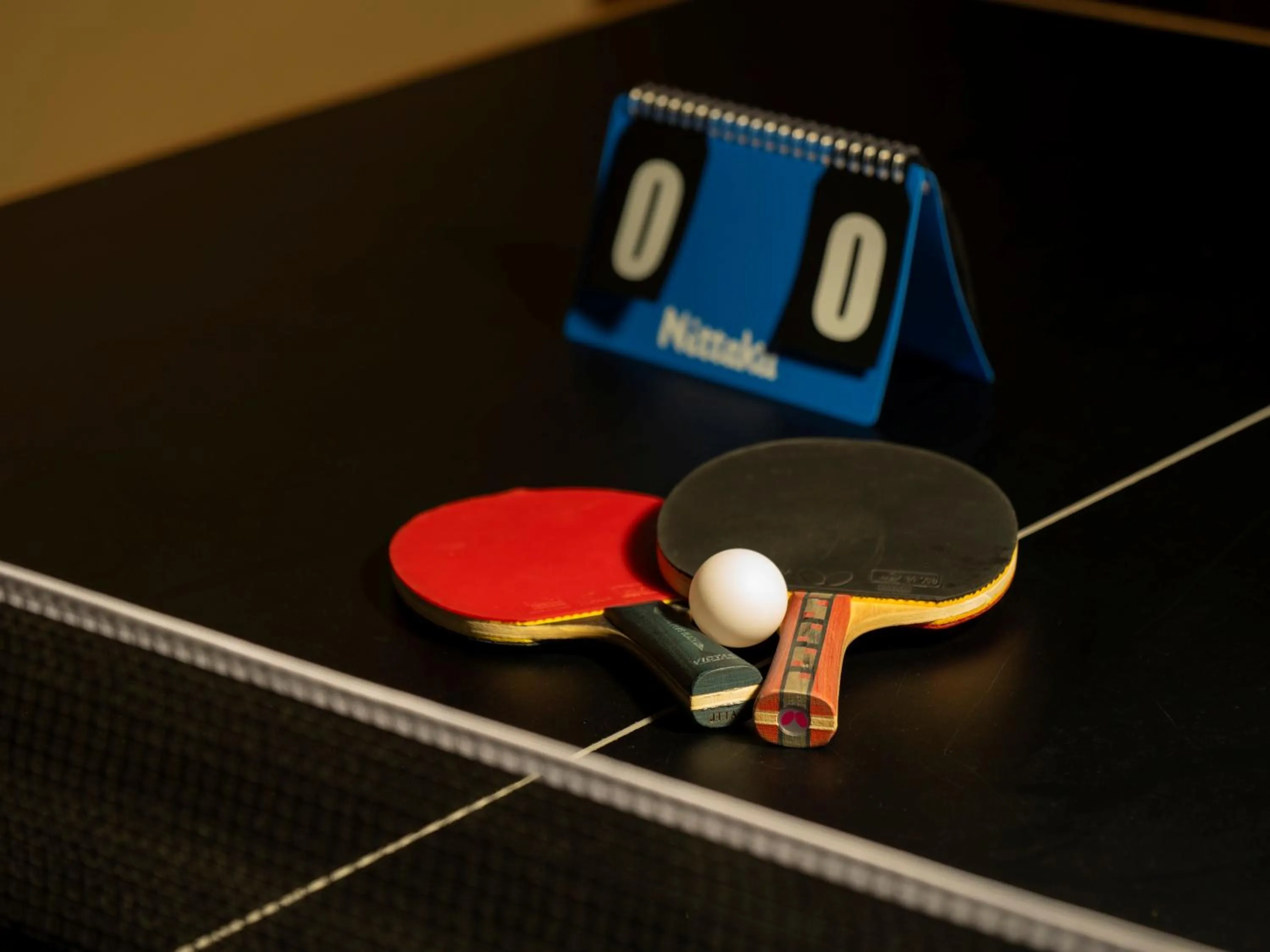 Table tennis in jyozankei SHIKAnoYU