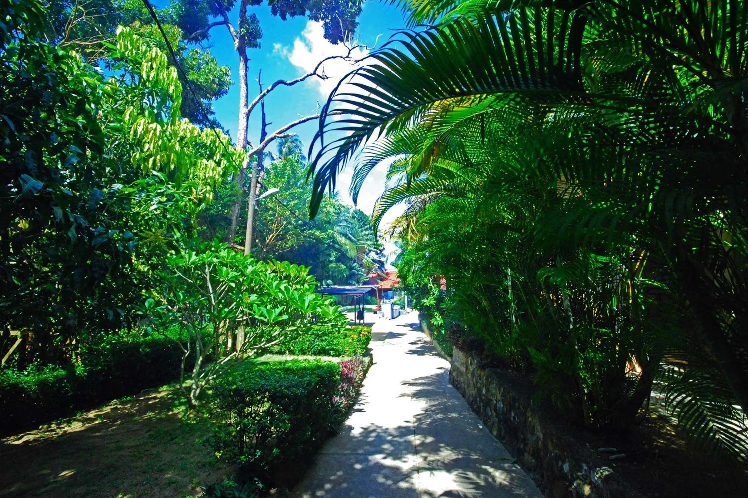 Facade/entrance in Tioman Dive Resort