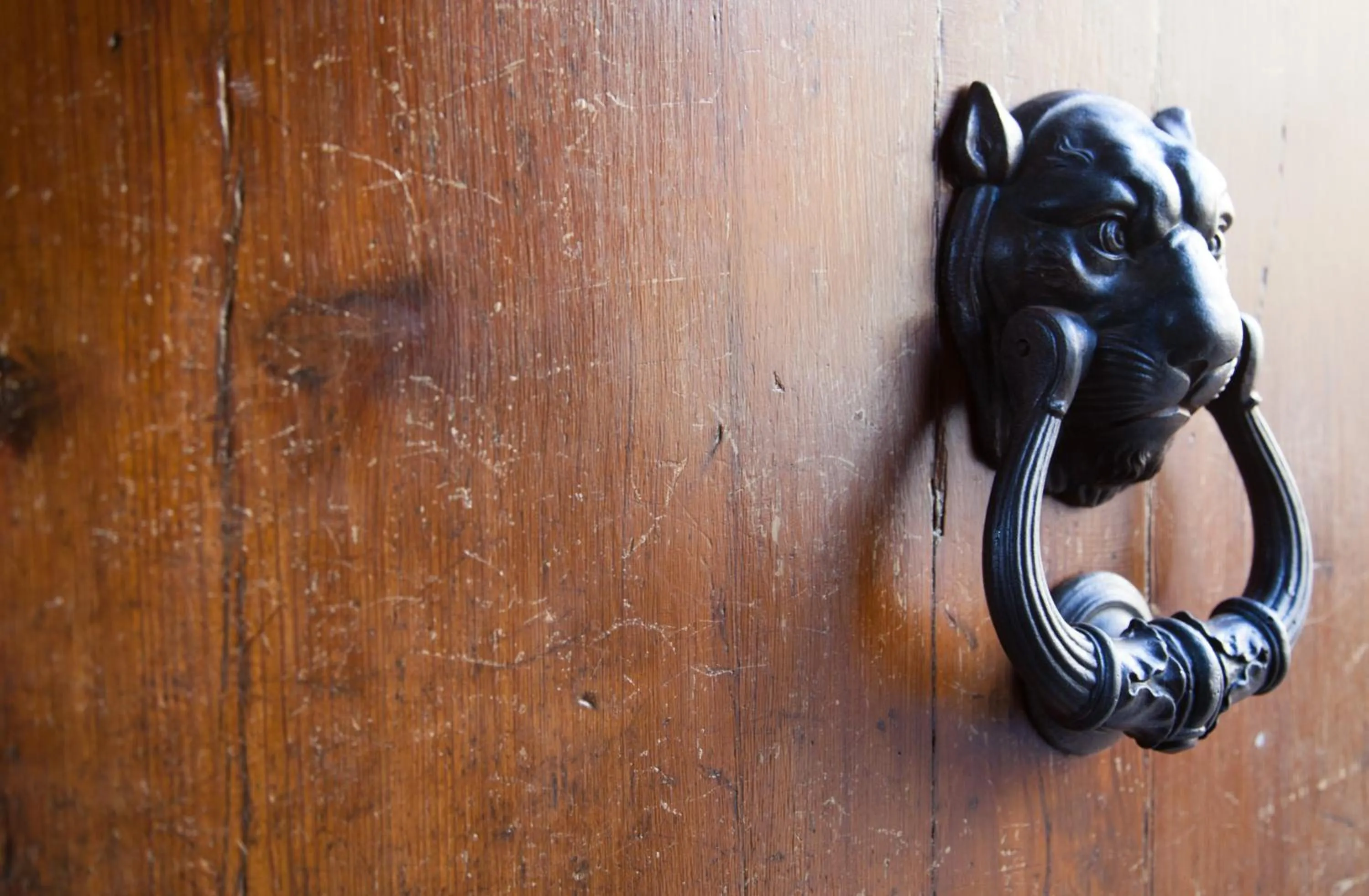 Facade/entrance in Vatican Leone IV