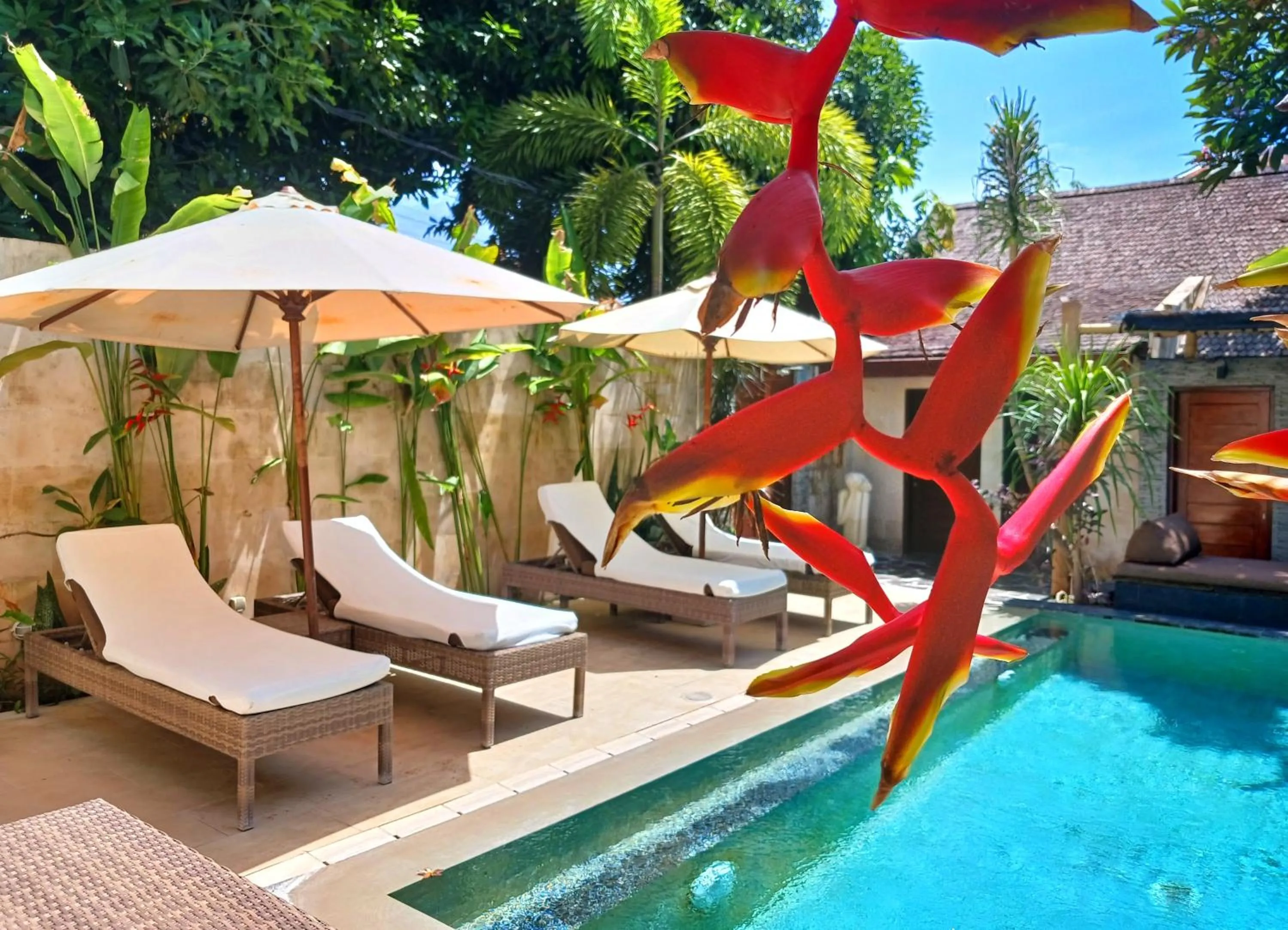 Scallywags Smugglers