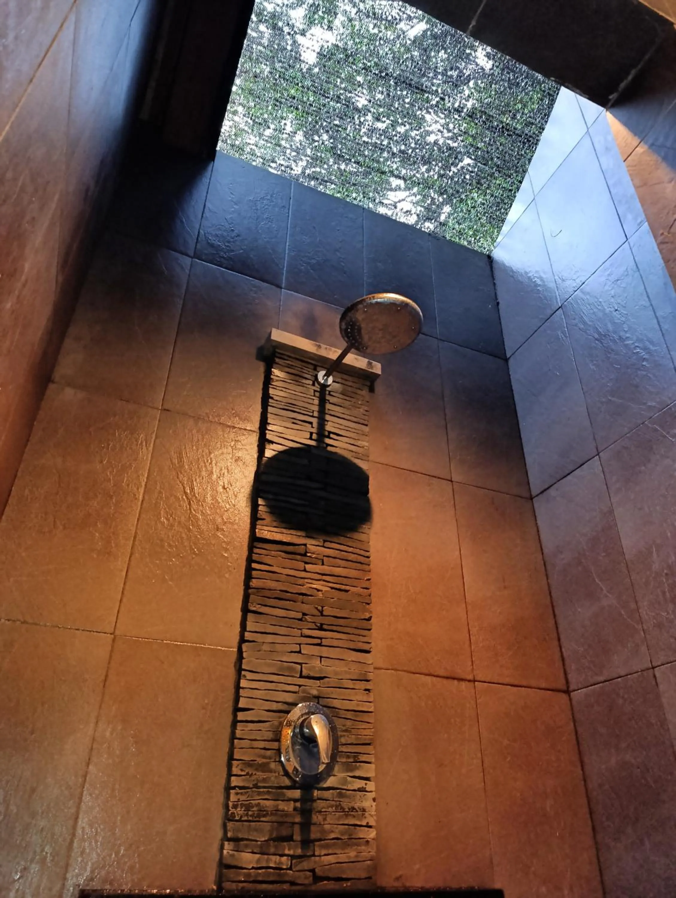 Scallywags Smugglers