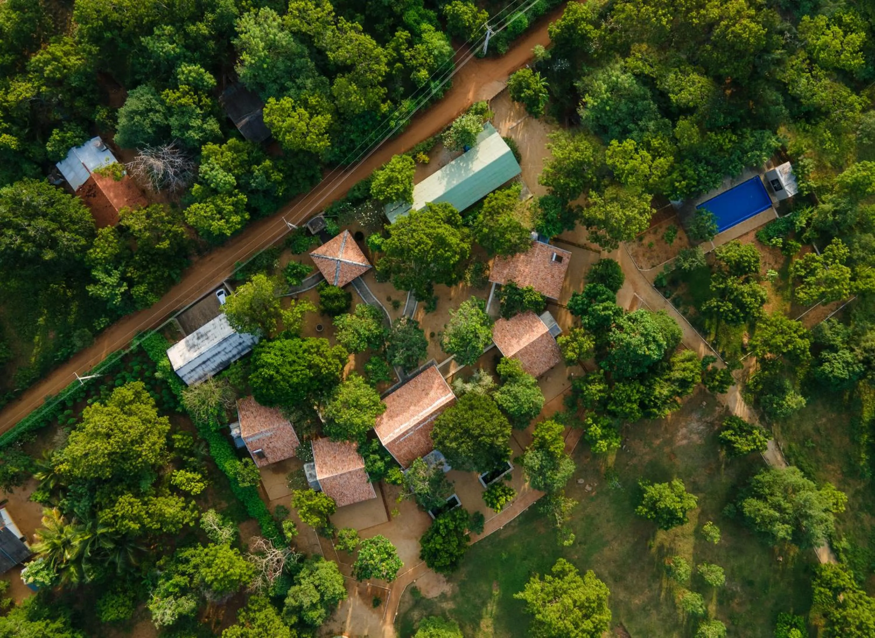 Bird's eye view in Koragaha Lodge - Yala